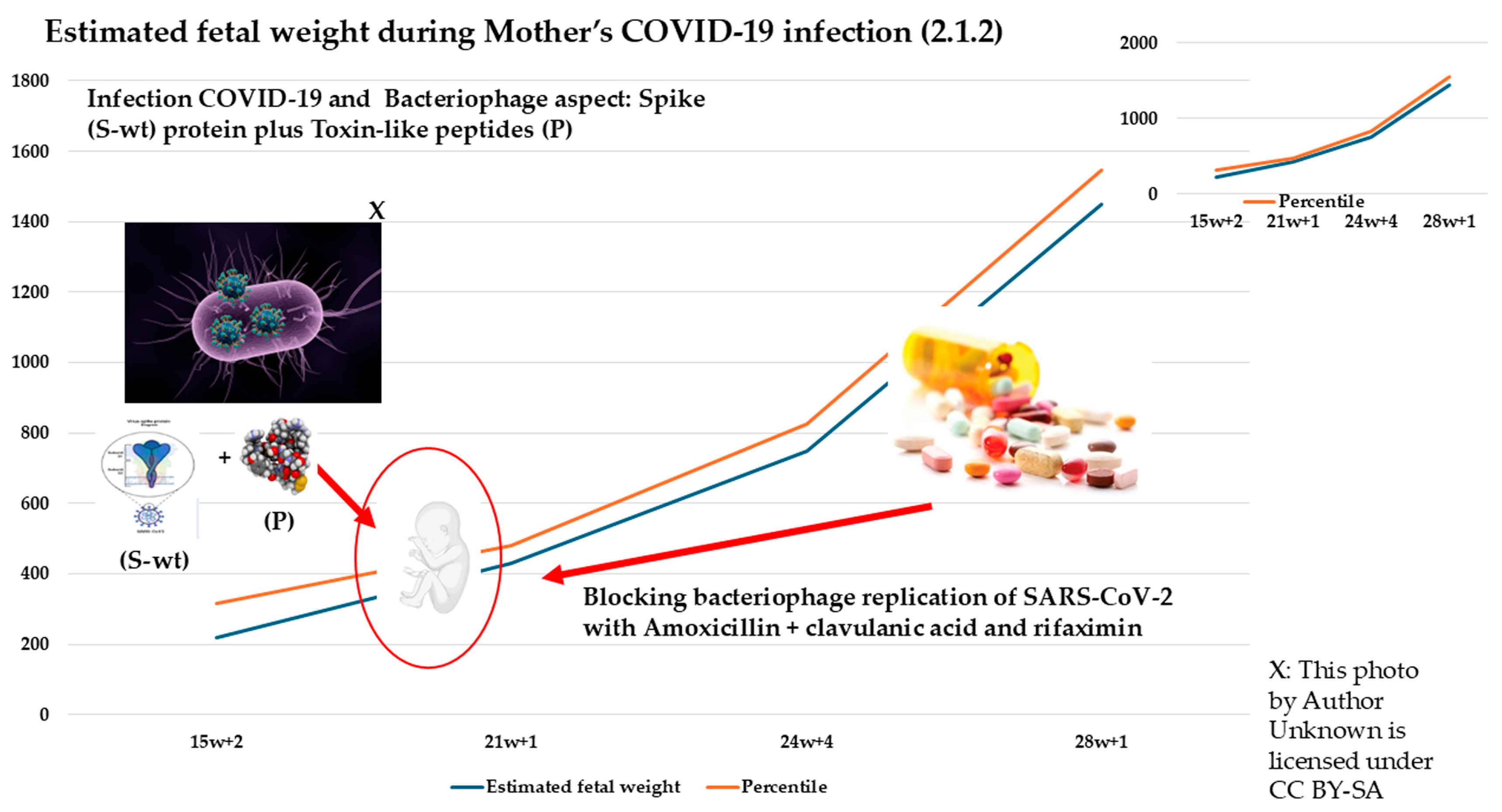 Biomedicines 13 01858 g005