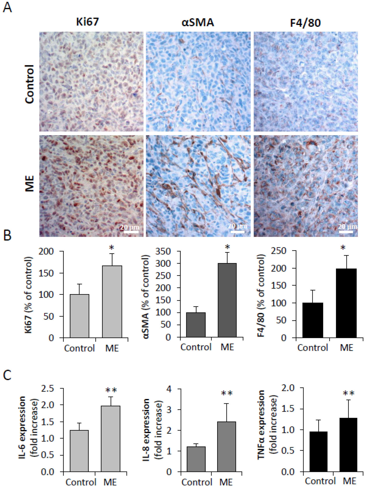 Biomedicines 13 01868 g005