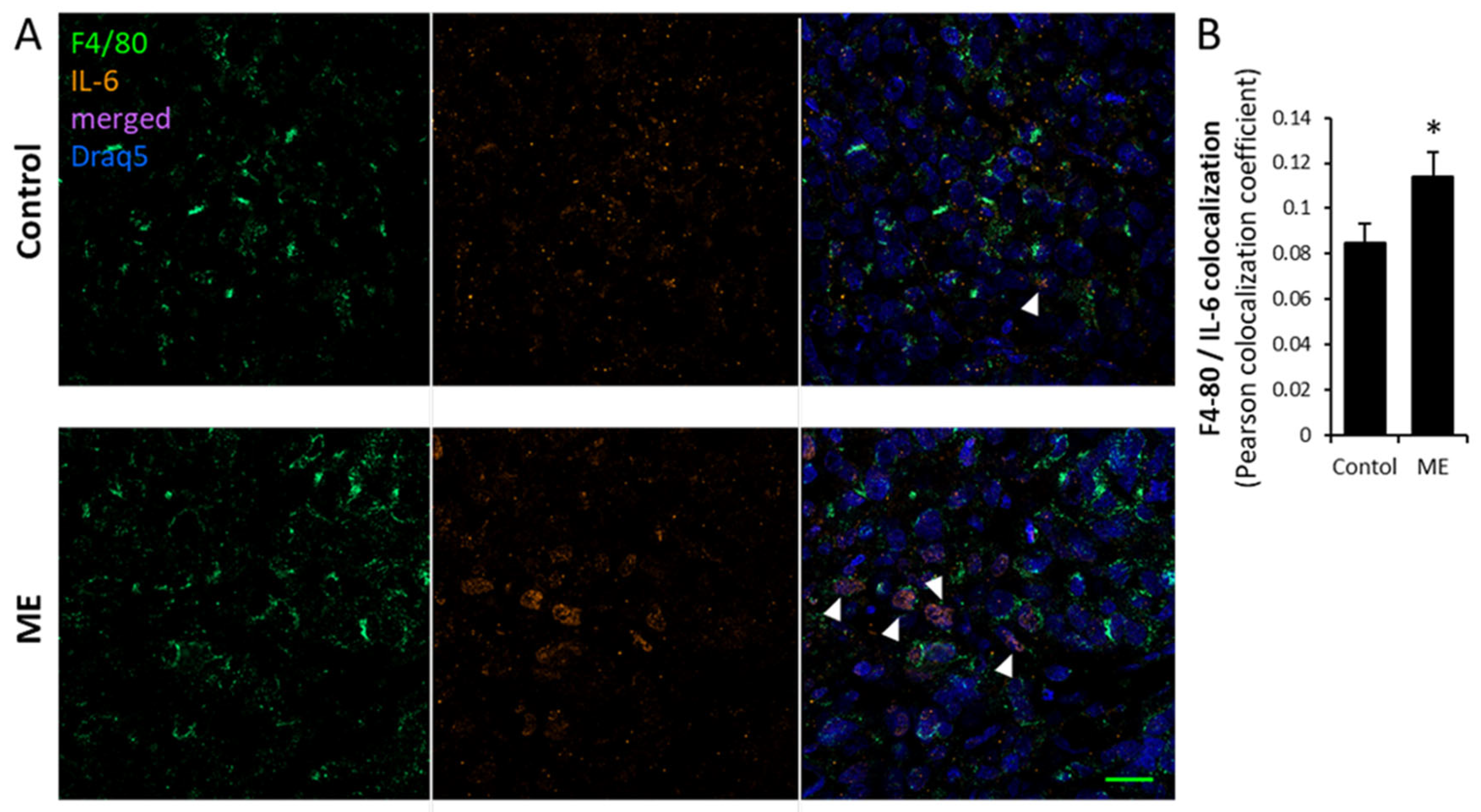 Biomedicines 13 01868 g006