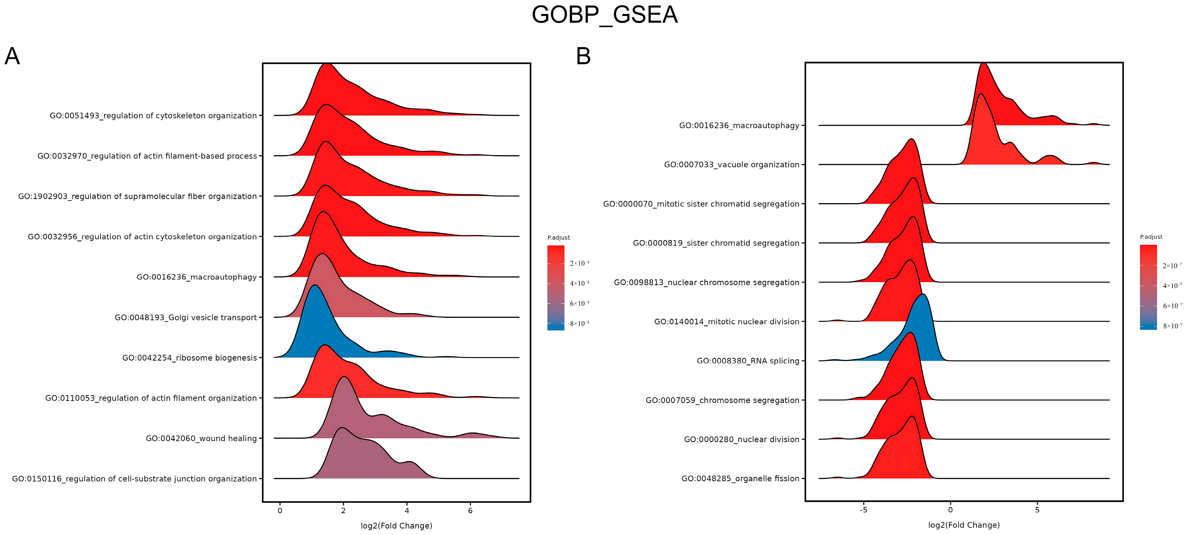 Biomedicines 13 01876 g008