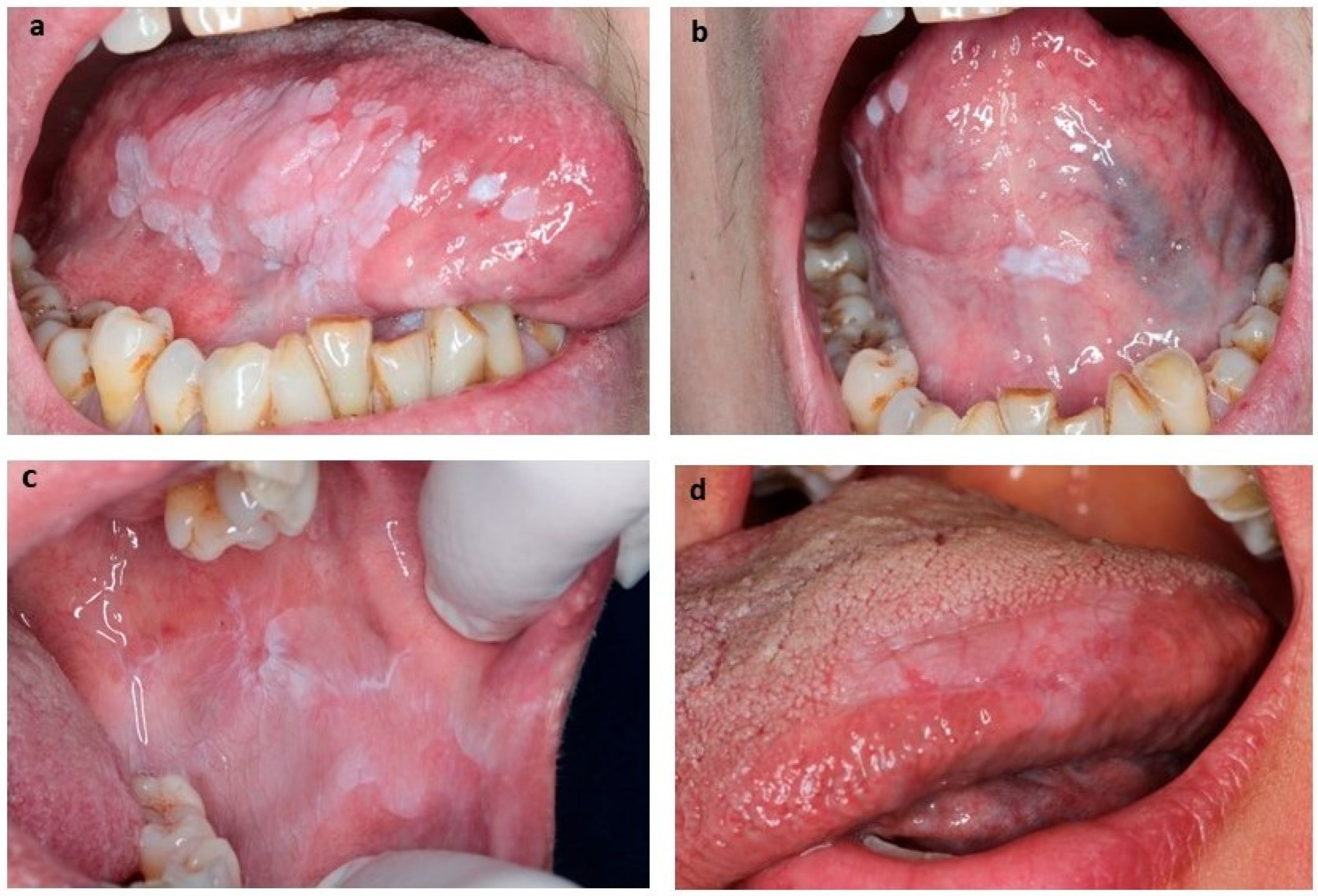 Biomedicines 13 01881 g001 Biomedicines 13 01881 g001