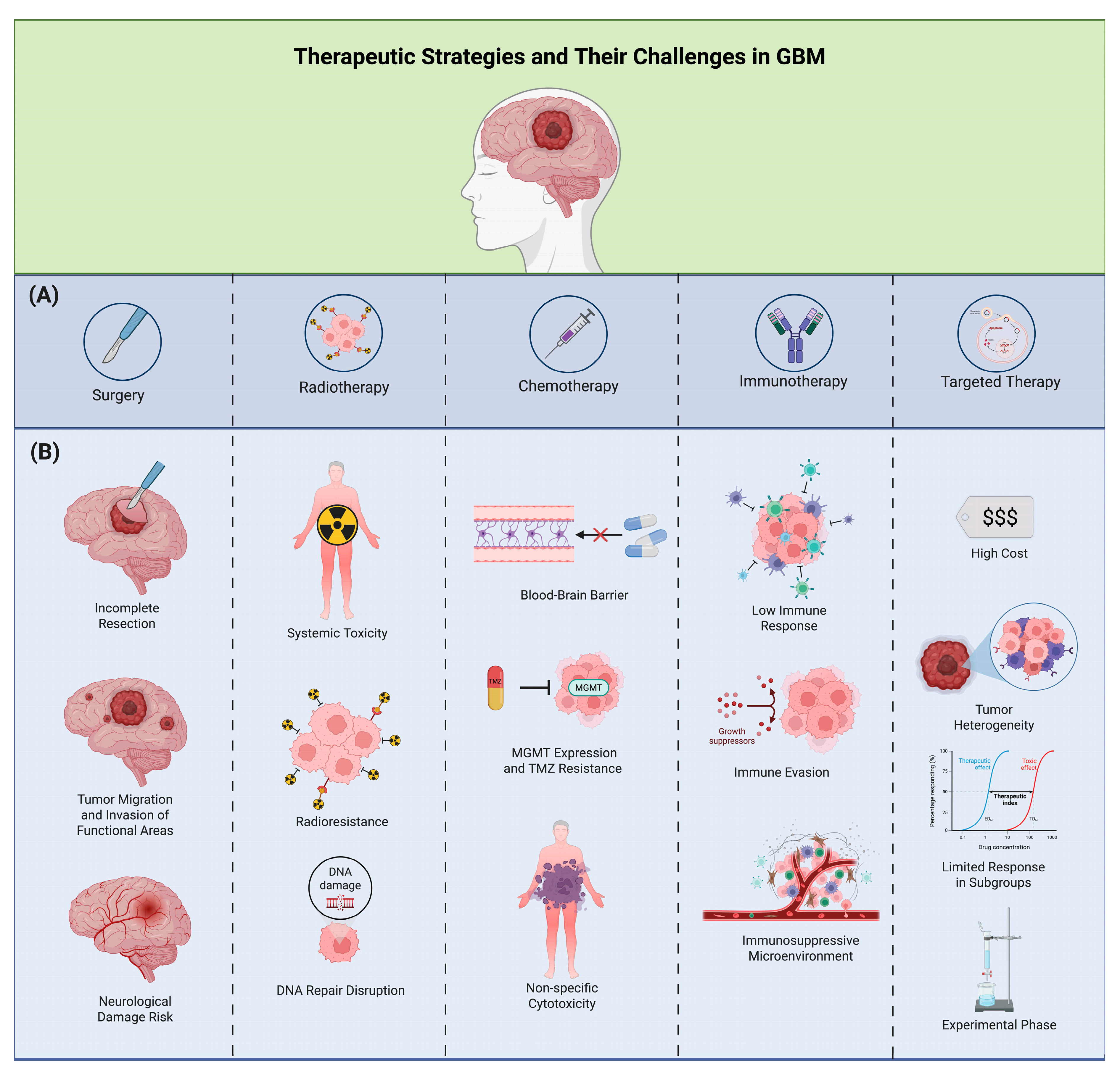 Biomedicines 13 01882 g002