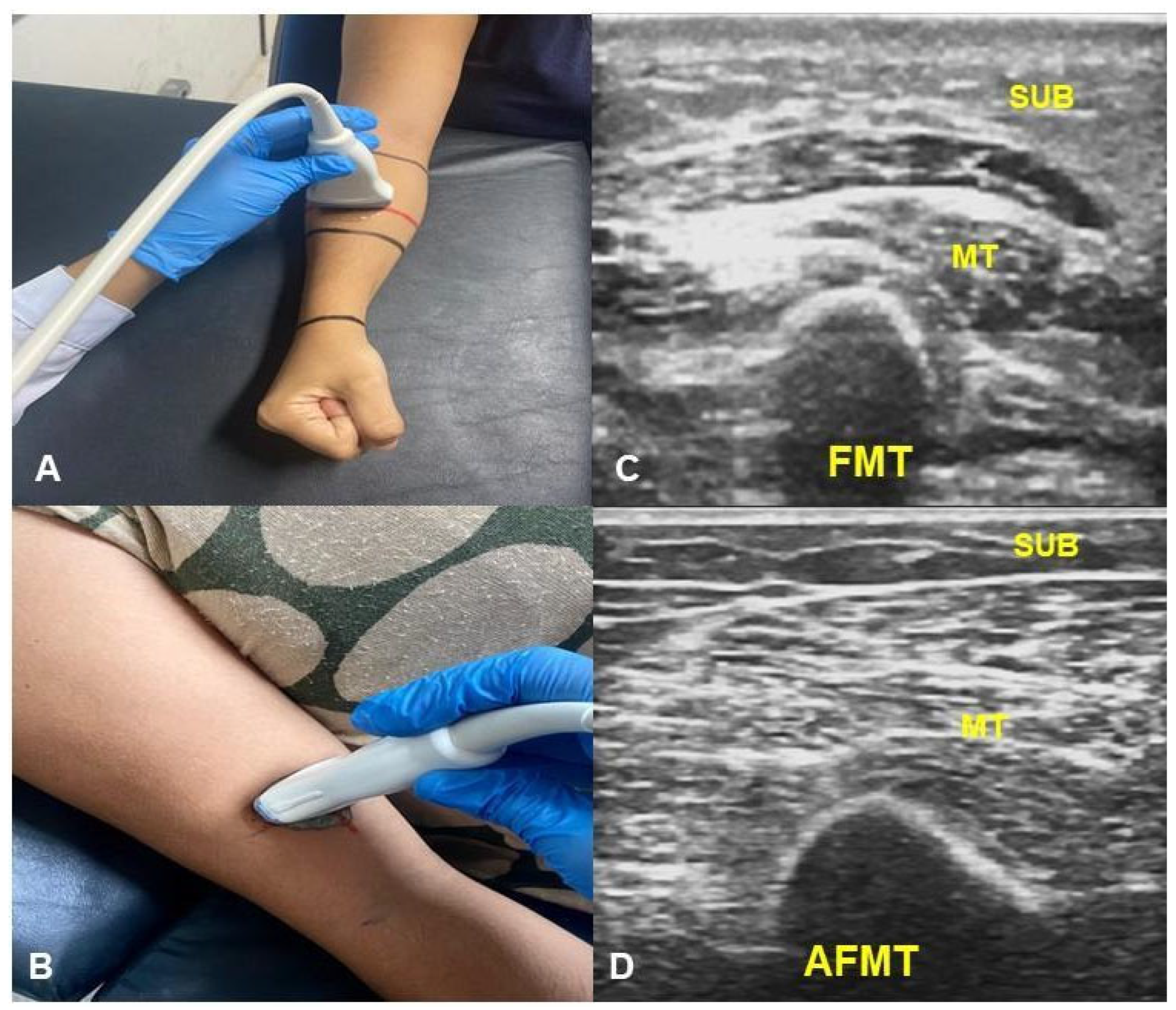 Biomedicines 13 01884 g001