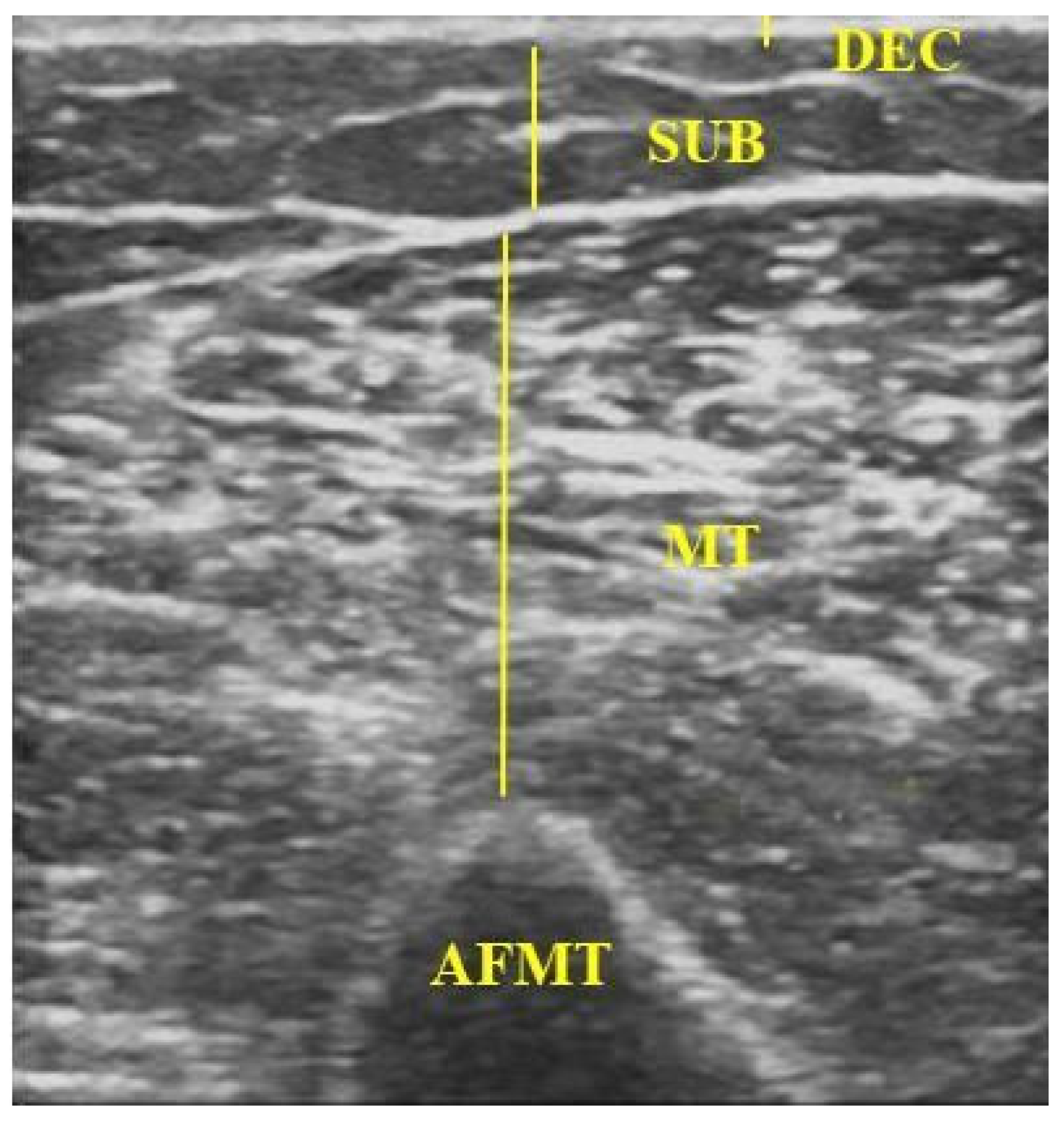 Biomedicines 13 01884 g002