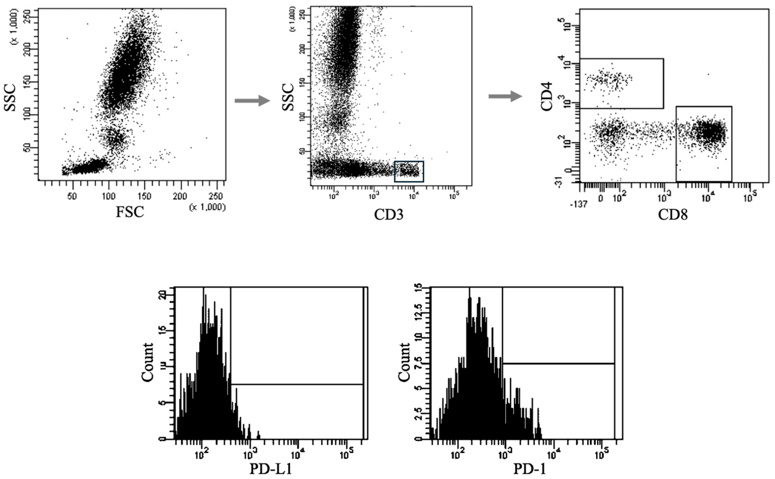 Biomedicines 13 01885 g001