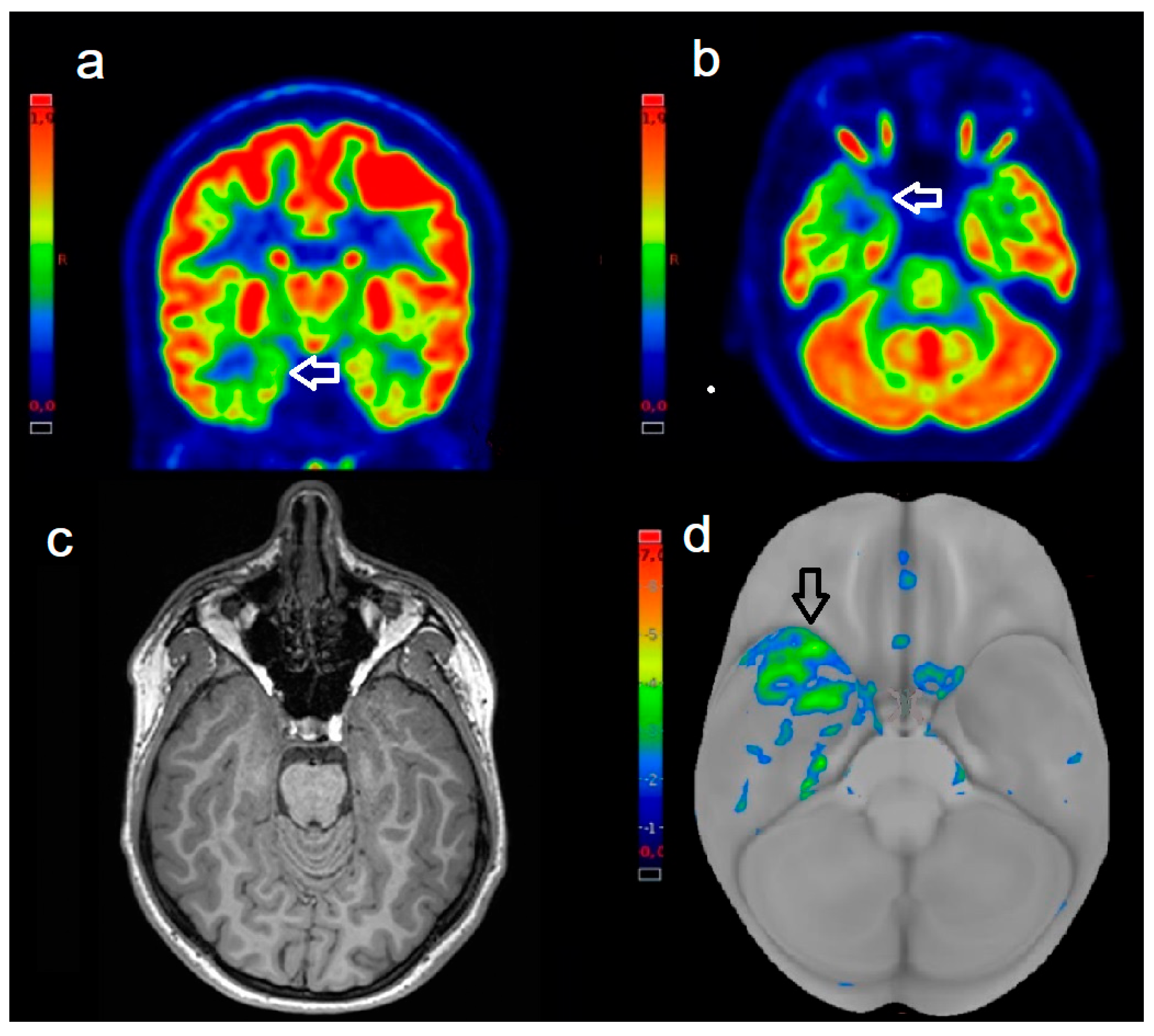 Biomedicines 13 01887 g003