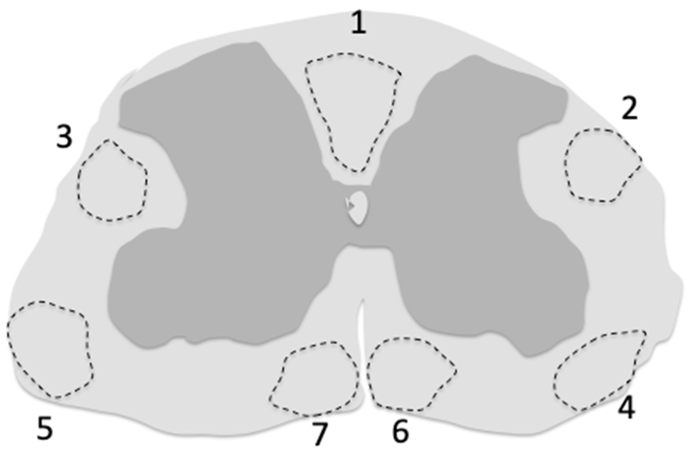 Biomedicines 13 01892 g001 Biomedicines 13 01892 g001