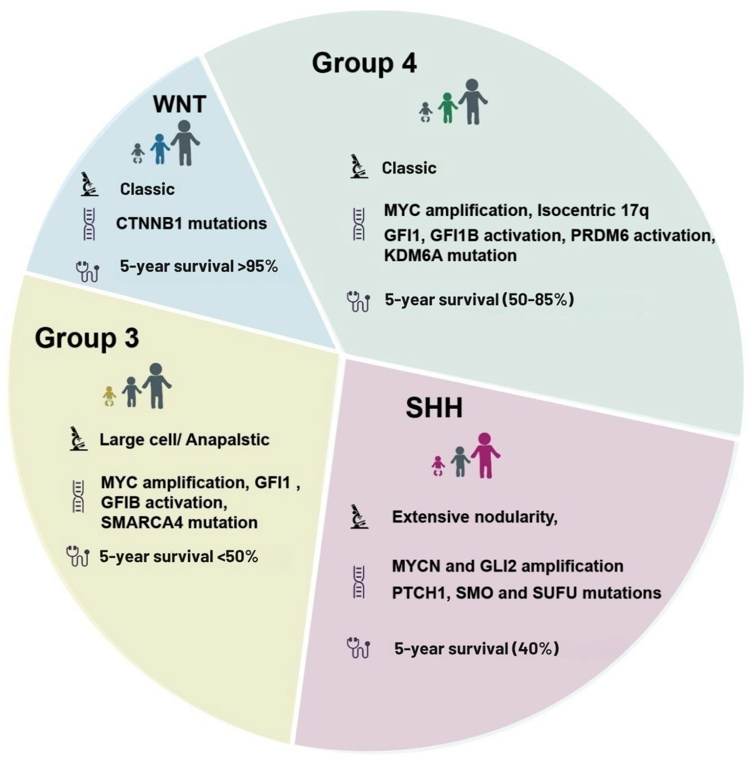 Biomedicines 13 01898 g001 Biomedicines 13 01898 g001
