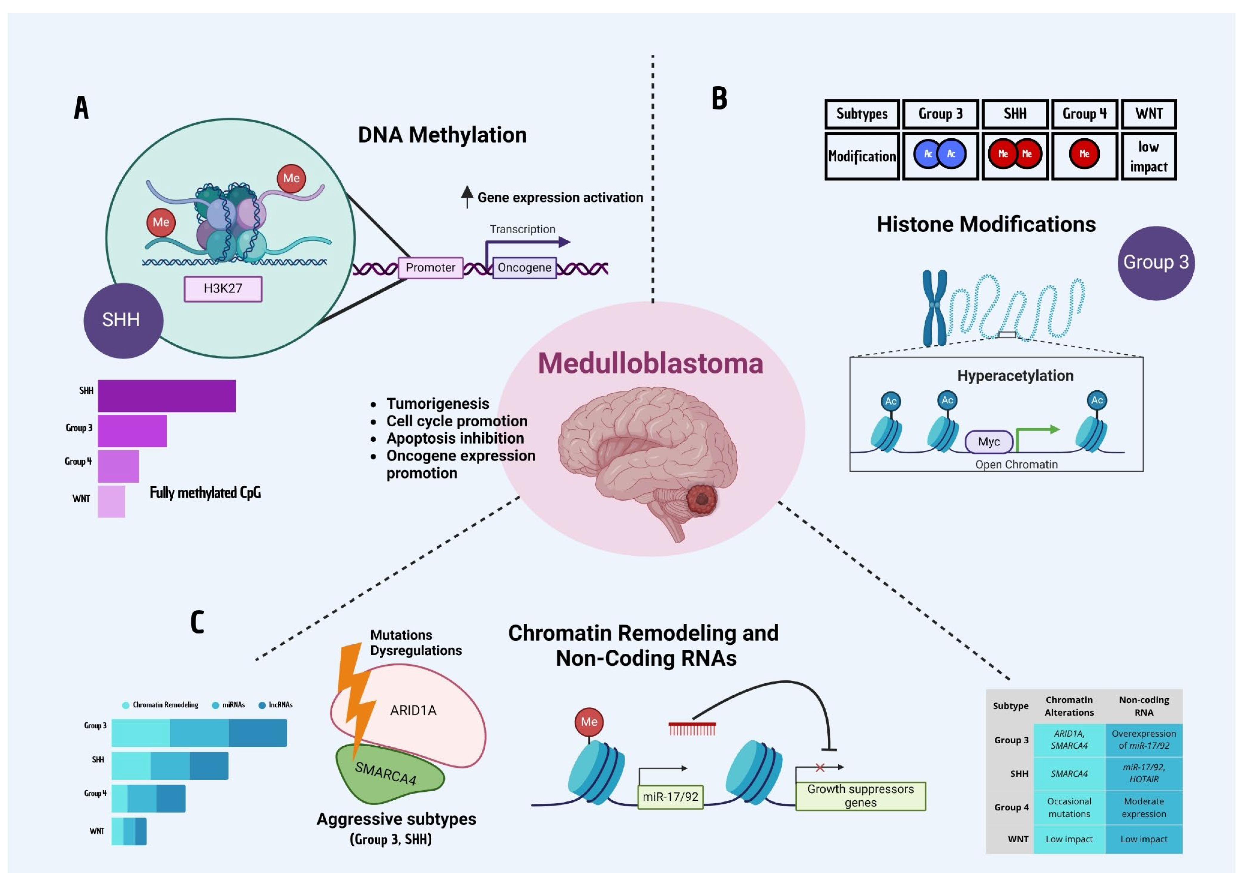 Biomedicines 13 01898 g003 Biomedicines 13 01898 g003