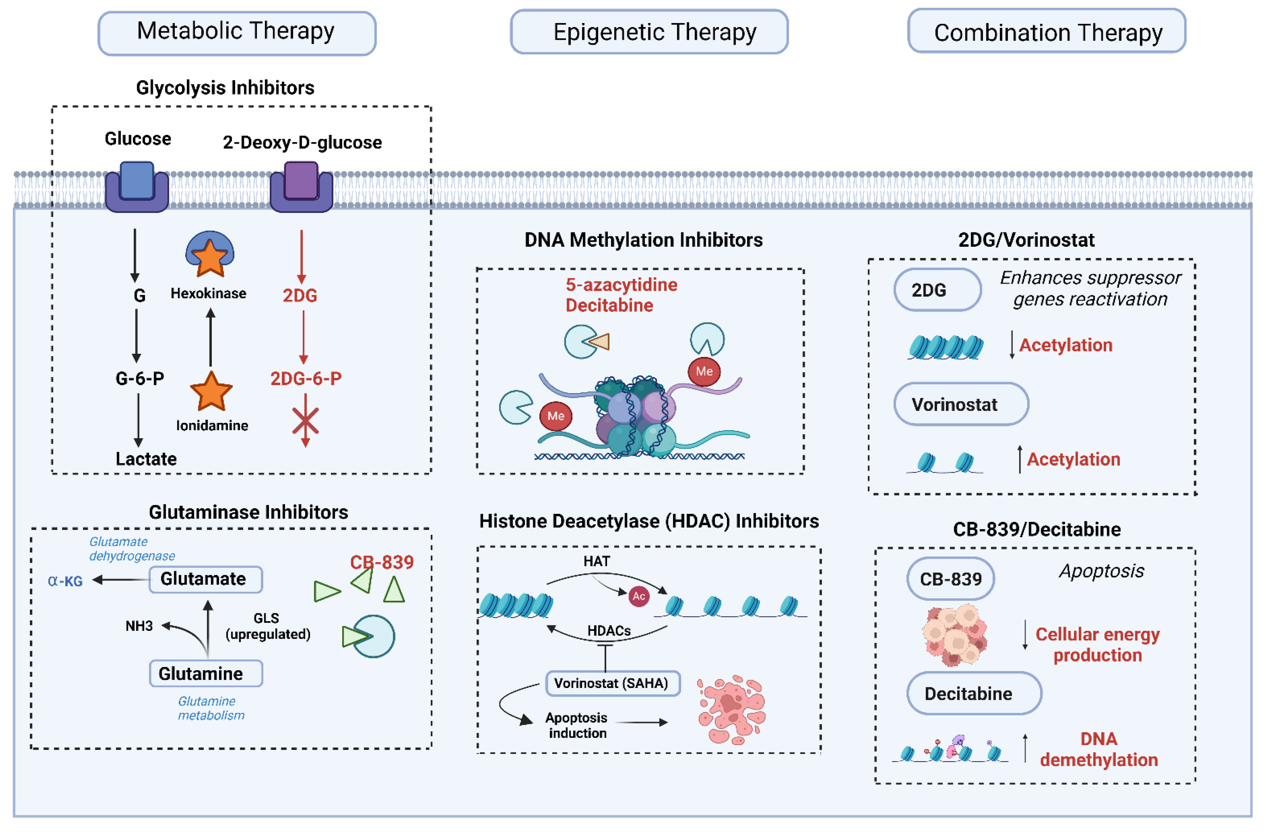 Biomedicines 13 01898 g005 Biomedicines 13 01898 g005