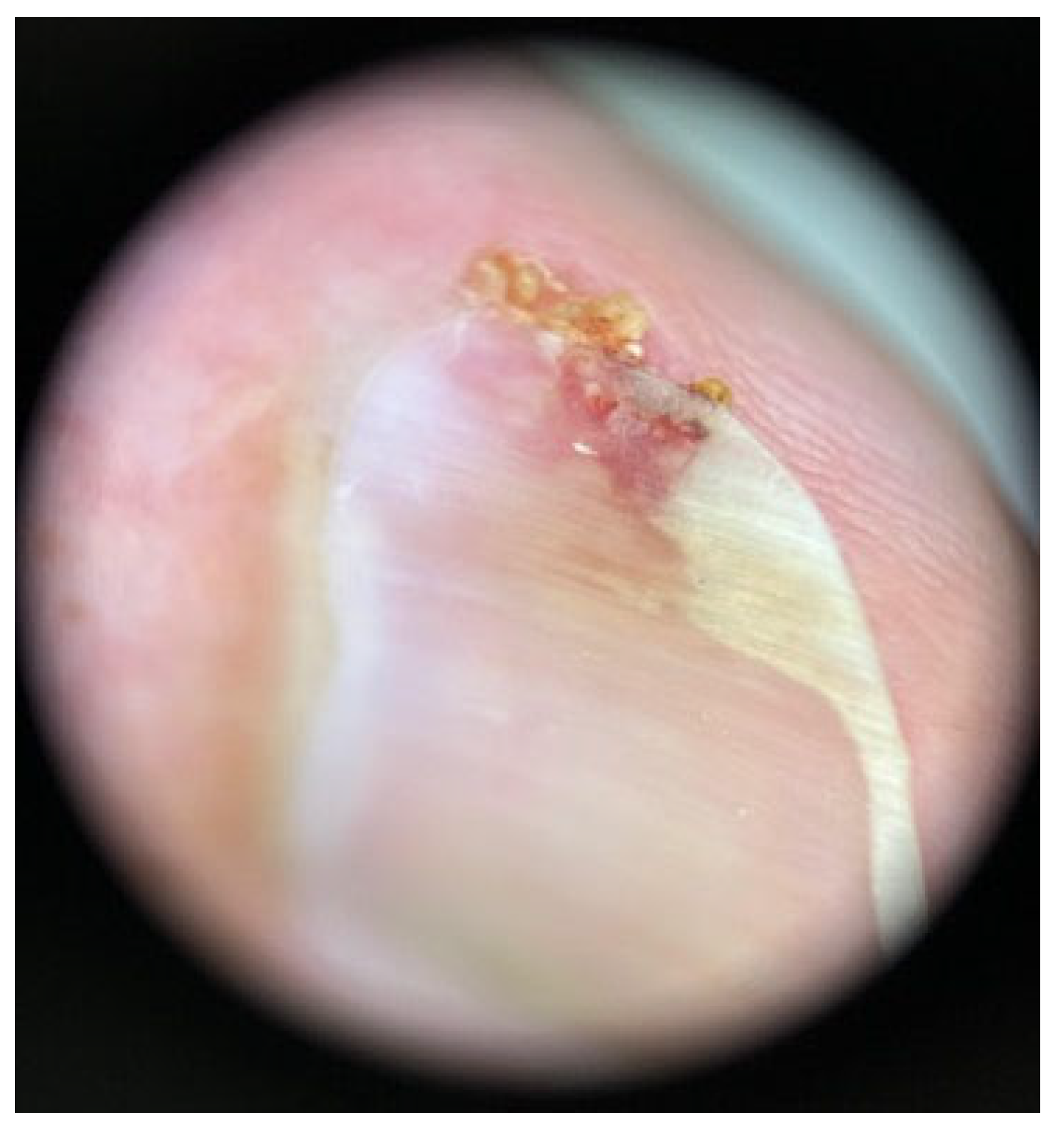 Biomedicines 13 01901 g004 Biomedicines 13 01901 g004