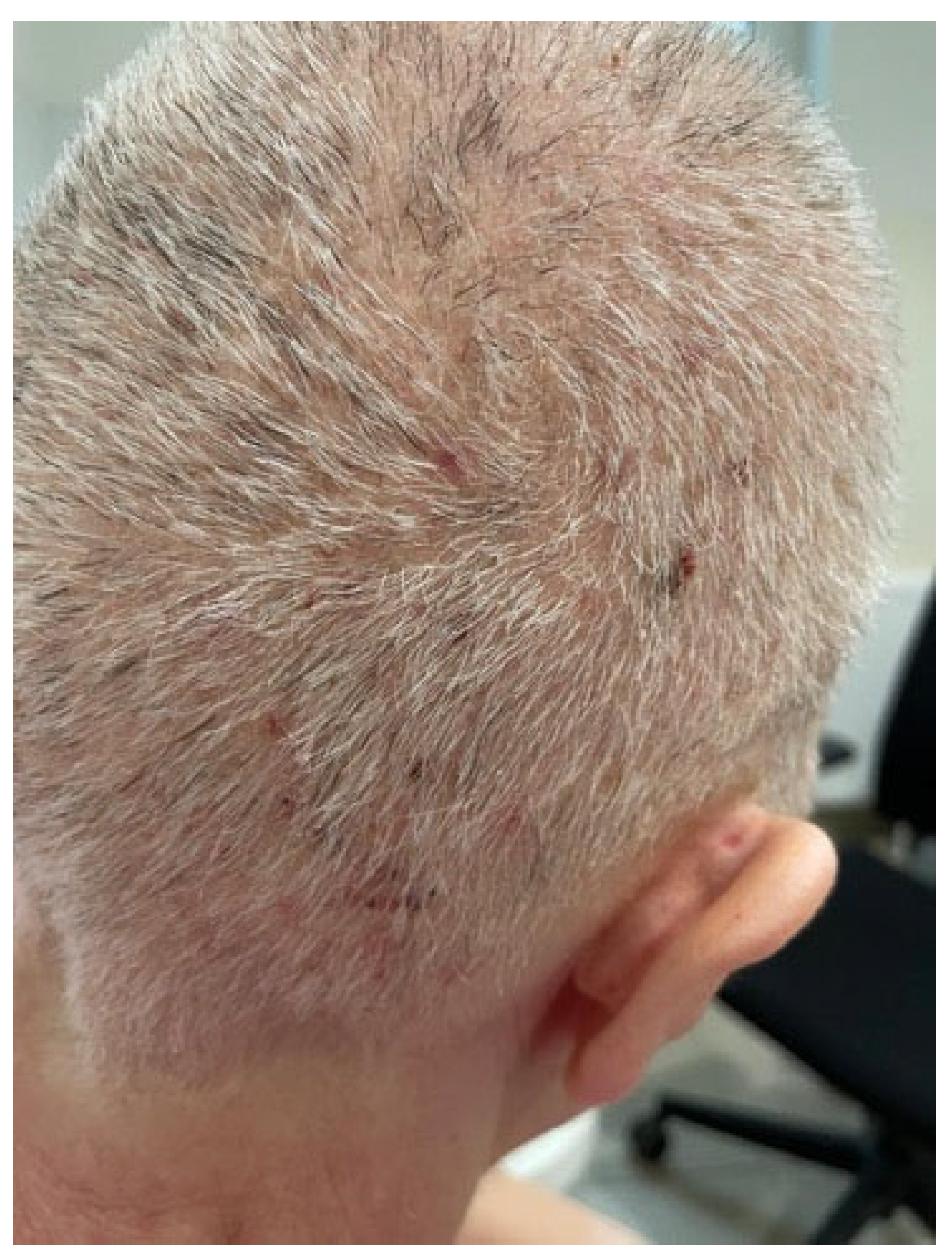 Biomedicines 13 01901 g007 Biomedicines 13 01901 g007