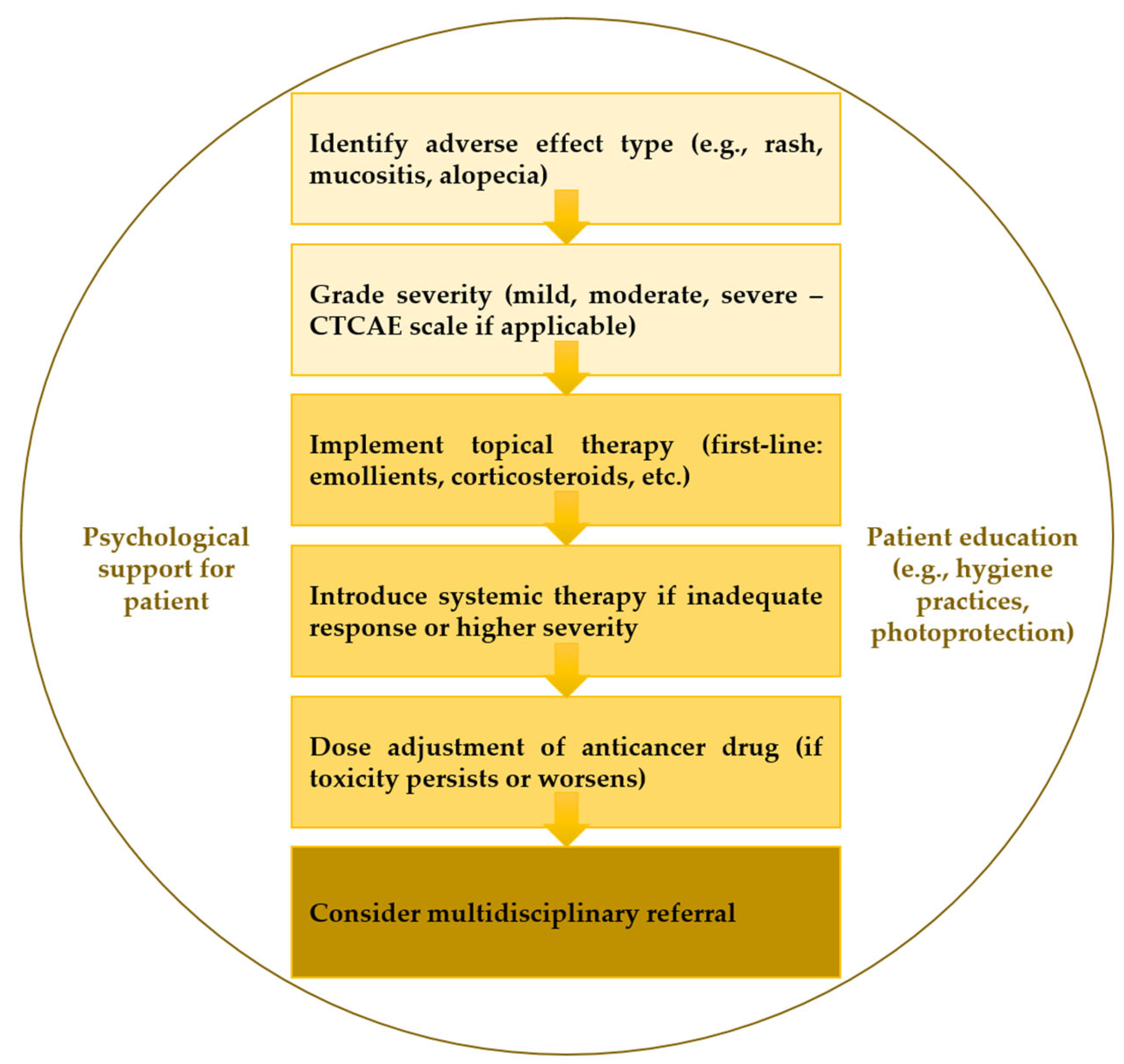 Biomedicines 13 01901 g008 Biomedicines 13 01901 g008