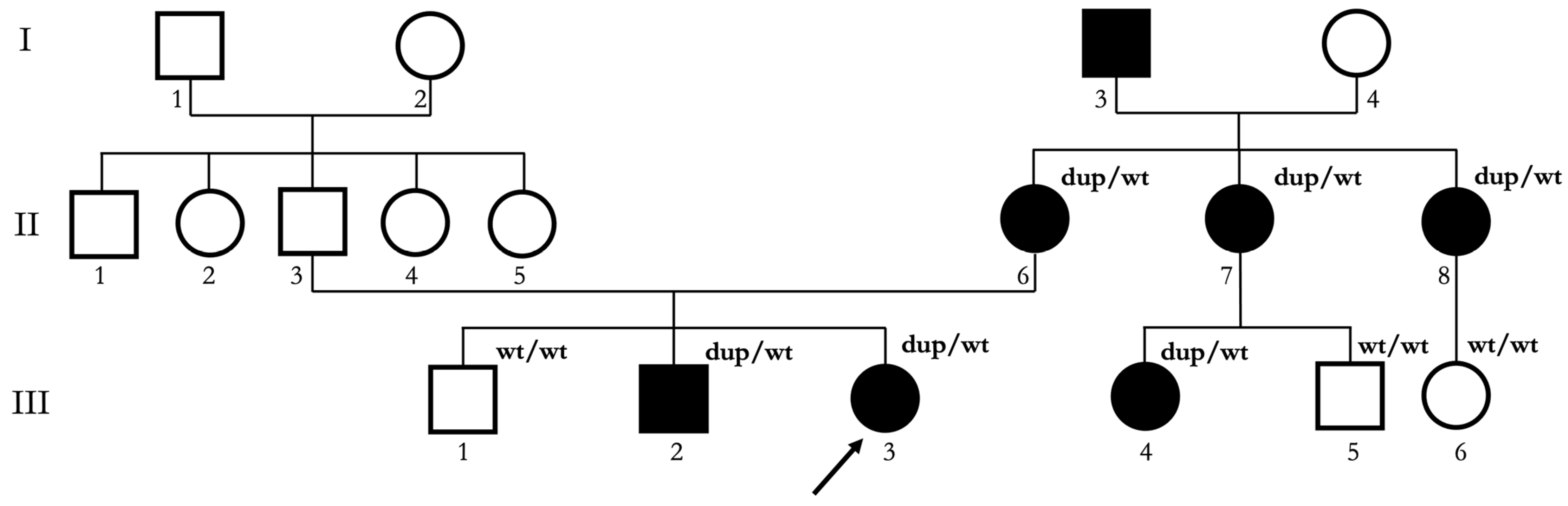 Biomedicines 13 01904 g002 Biomedicines 13 01904 g002