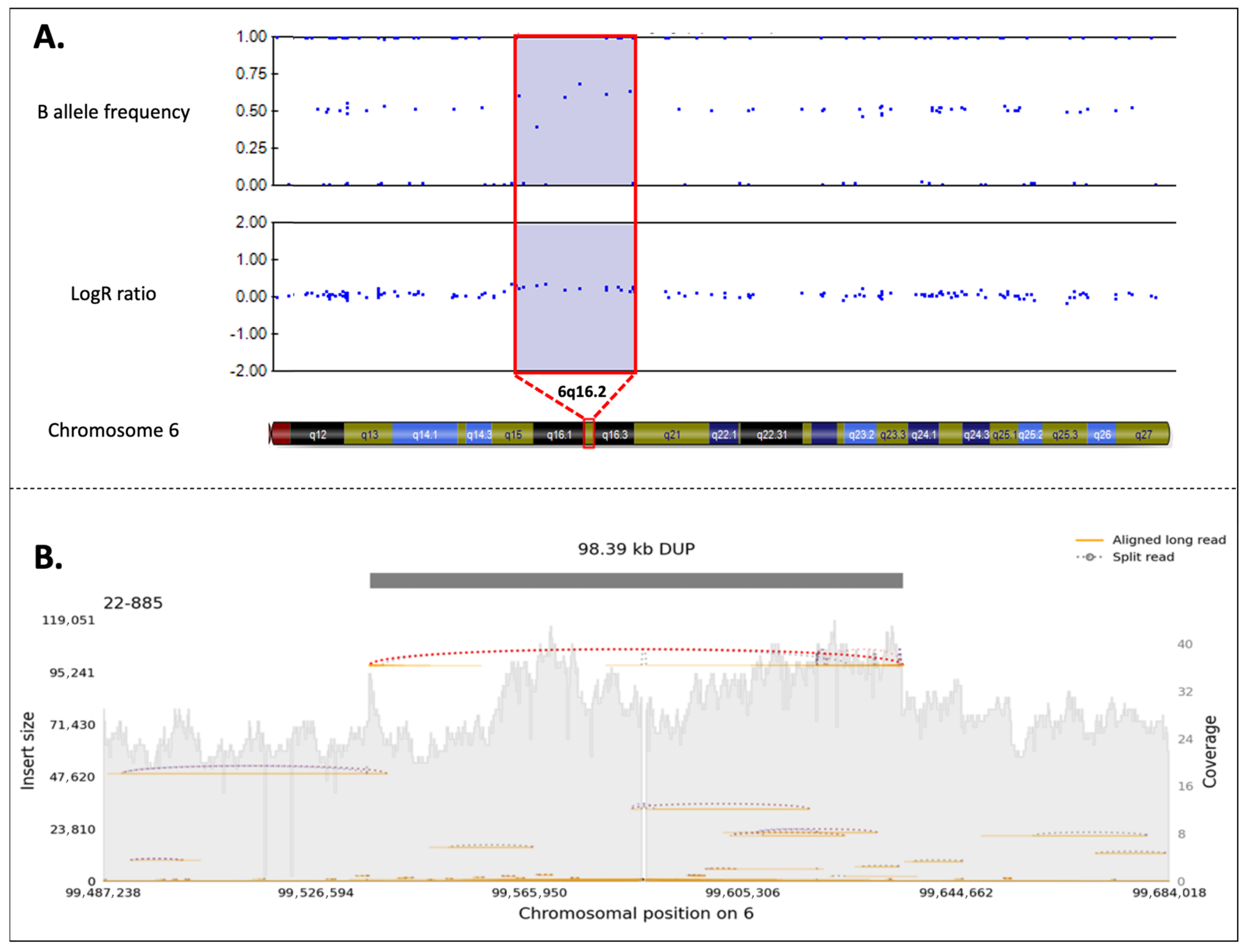 Biomedicines 13 01904 g004 Biomedicines 13 01904 g004