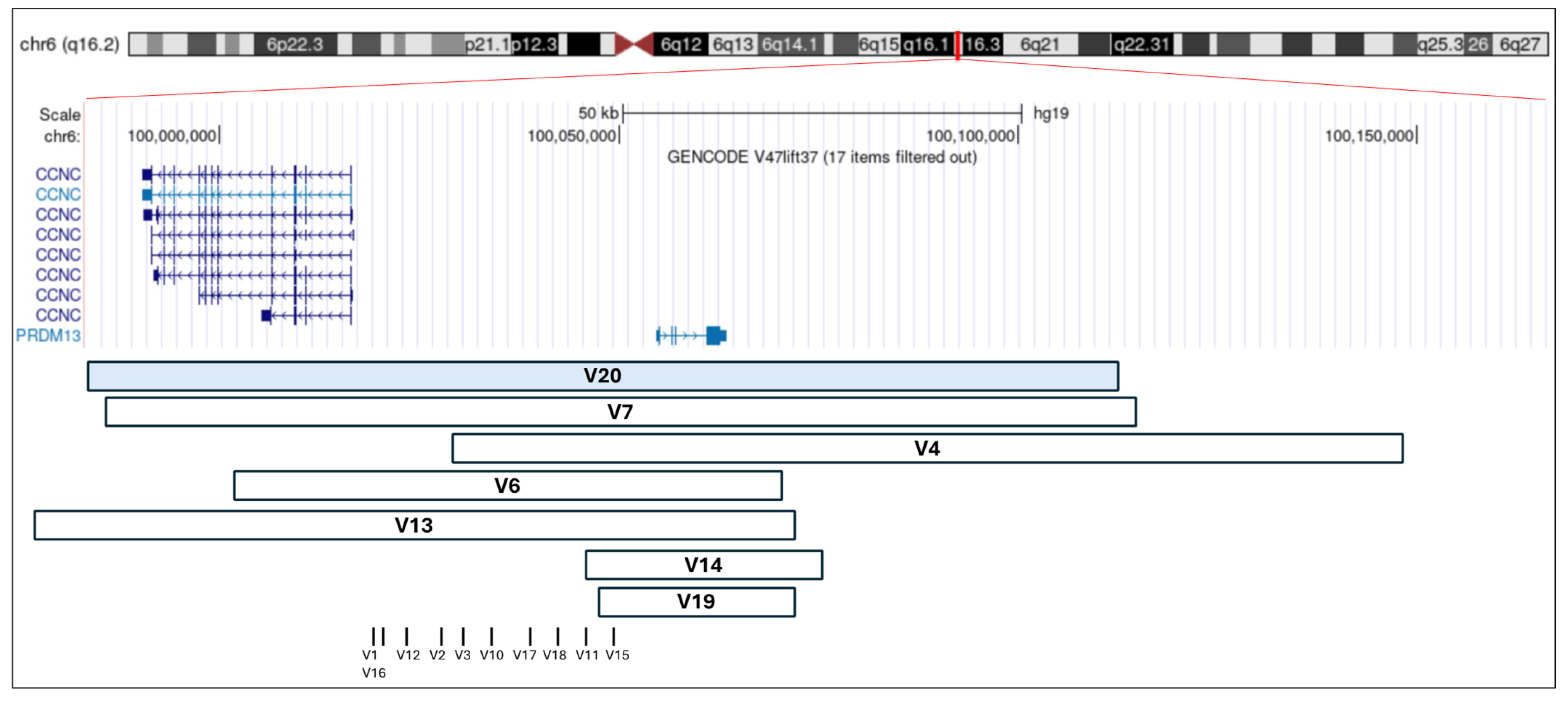 Biomedicines 13 01904 g005 Biomedicines 13 01904 g005