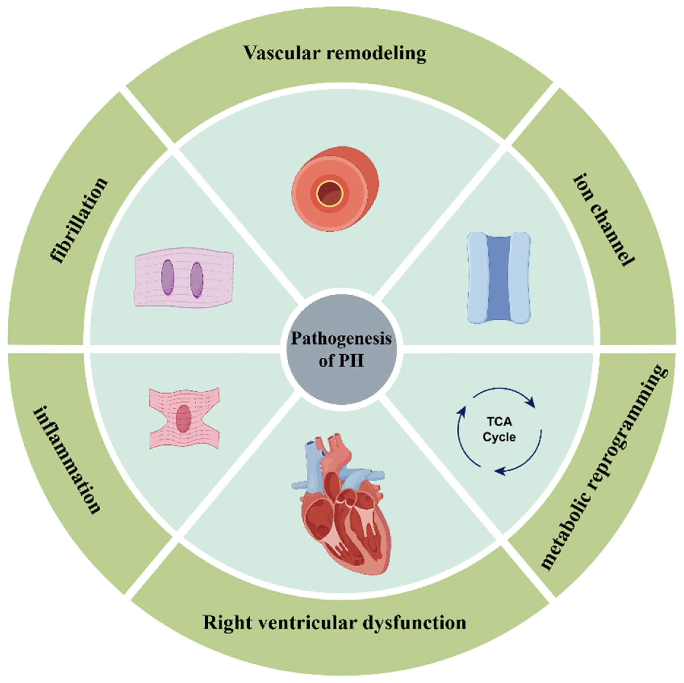 あい miRNAs in Pulmonary Hypertension: Mechanistic Insights and