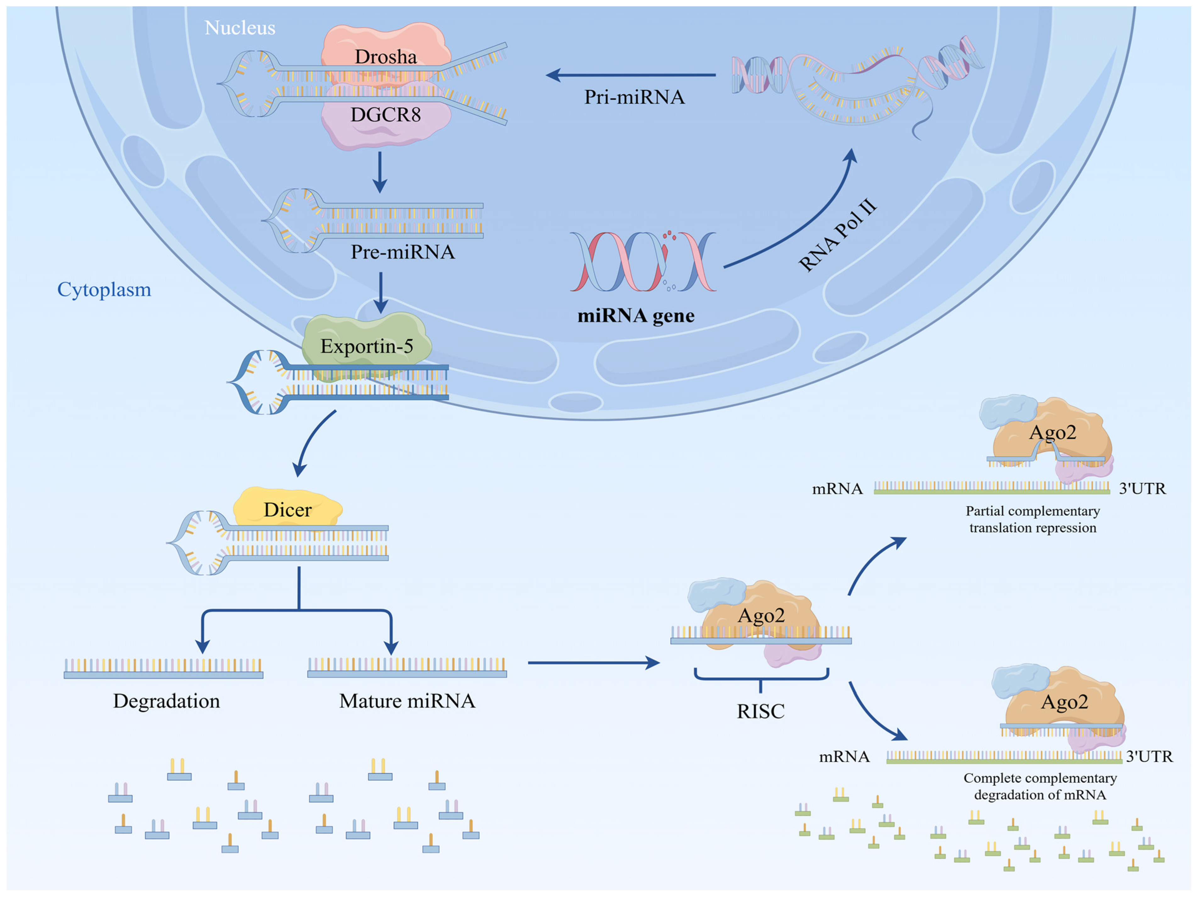 Biomedicines 13 01910 g002