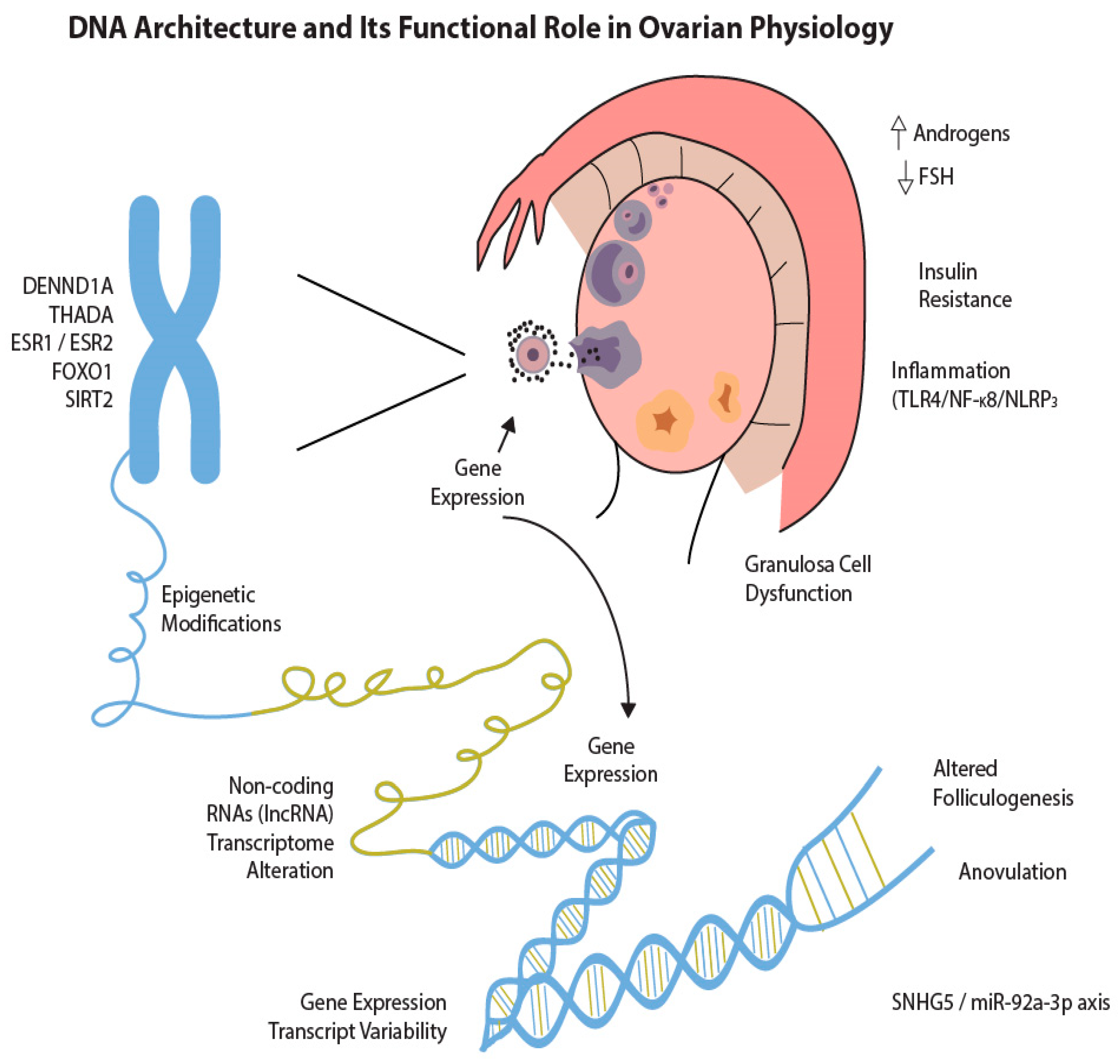 Biomedicines 13 01912 g002