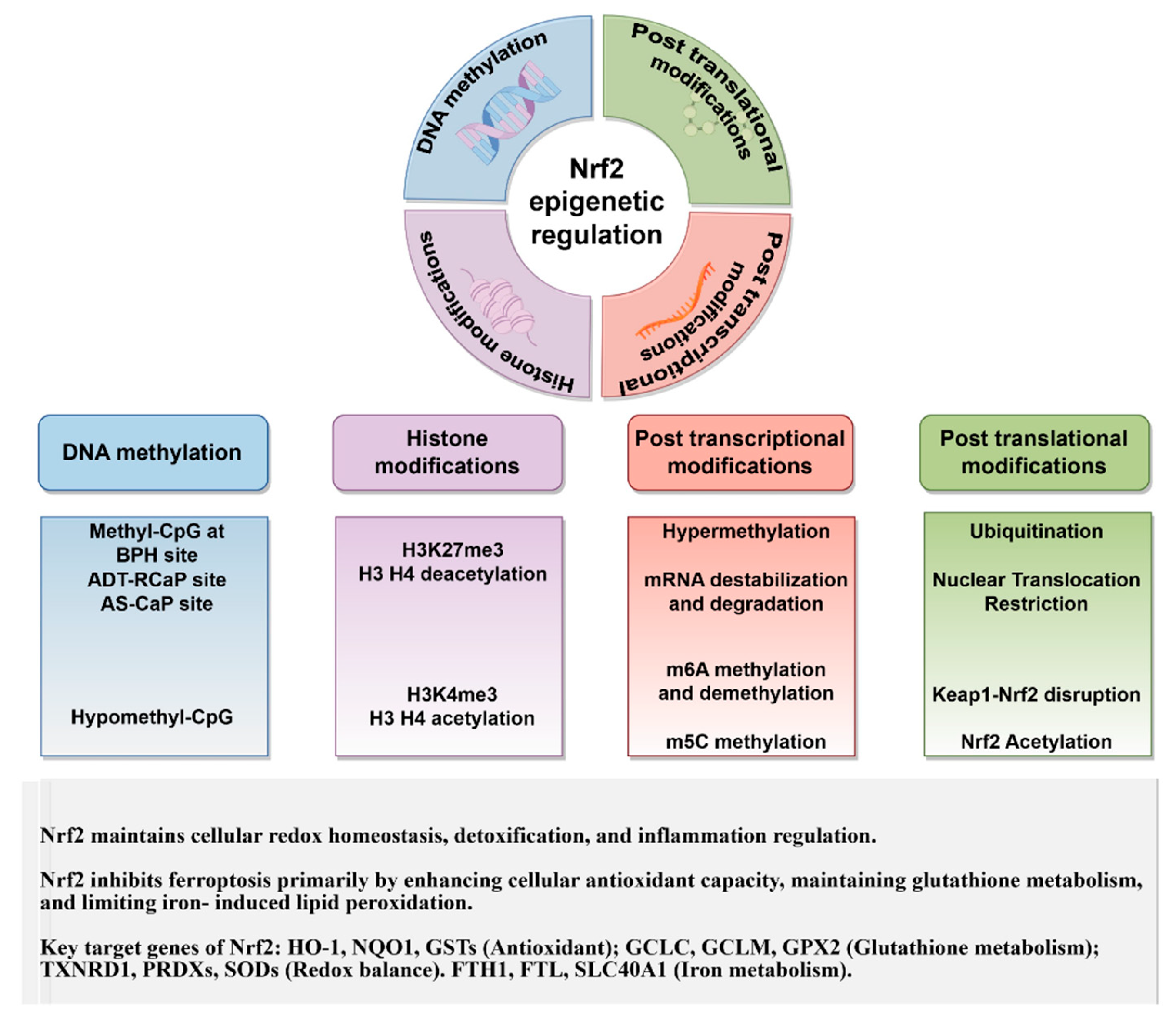 Biomedicines 13 01913 g002