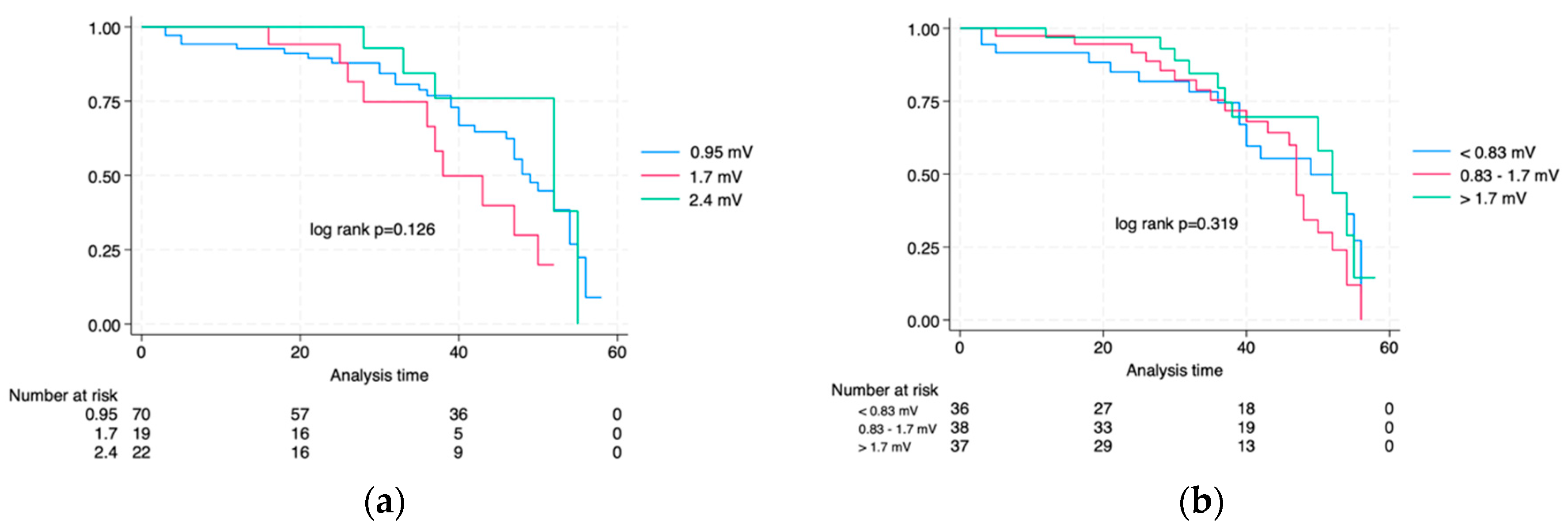 Biomedicines 13 01917 g004