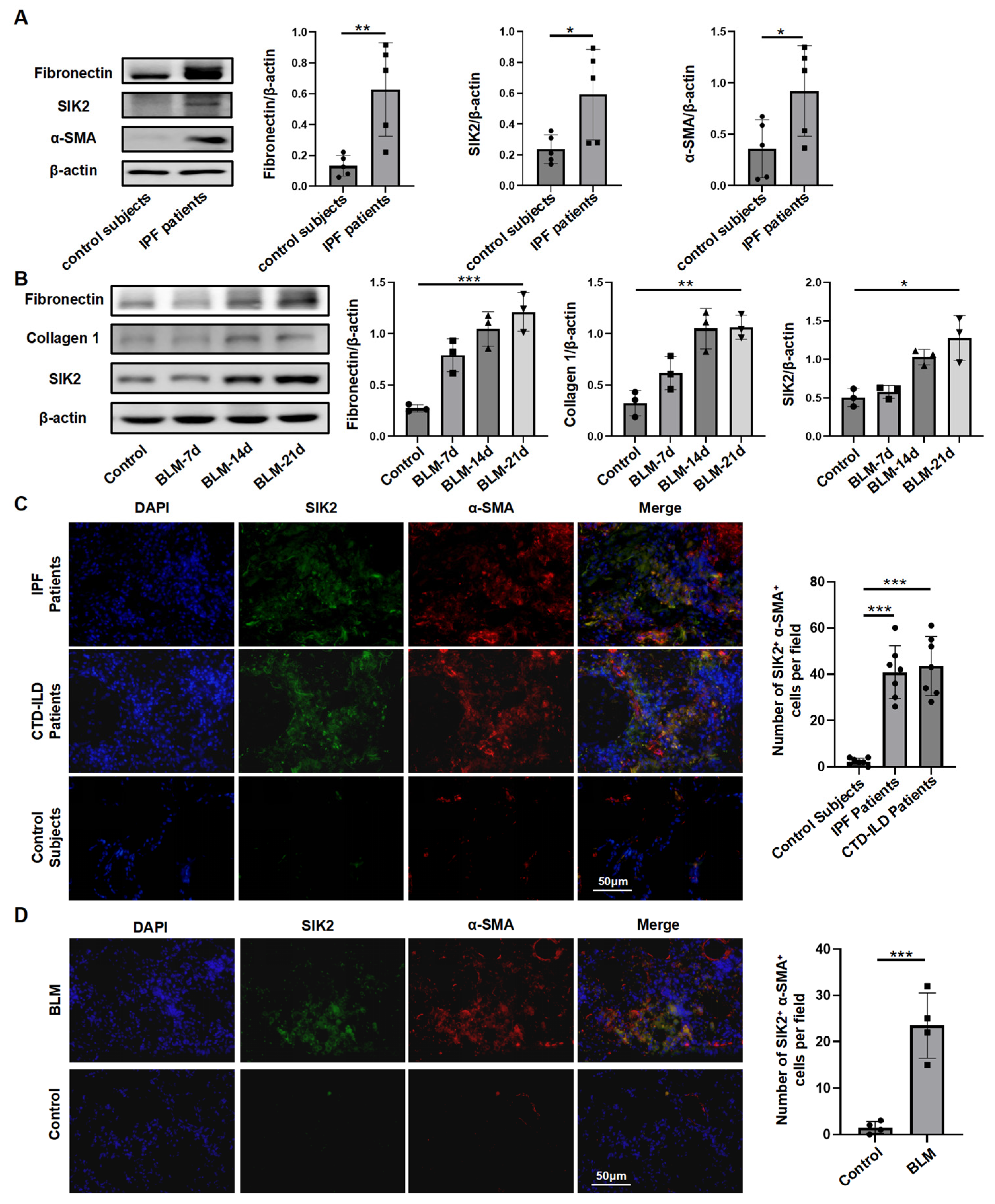 Biomedicines 13 01919 g001 Biomedicines 13 01919 g001