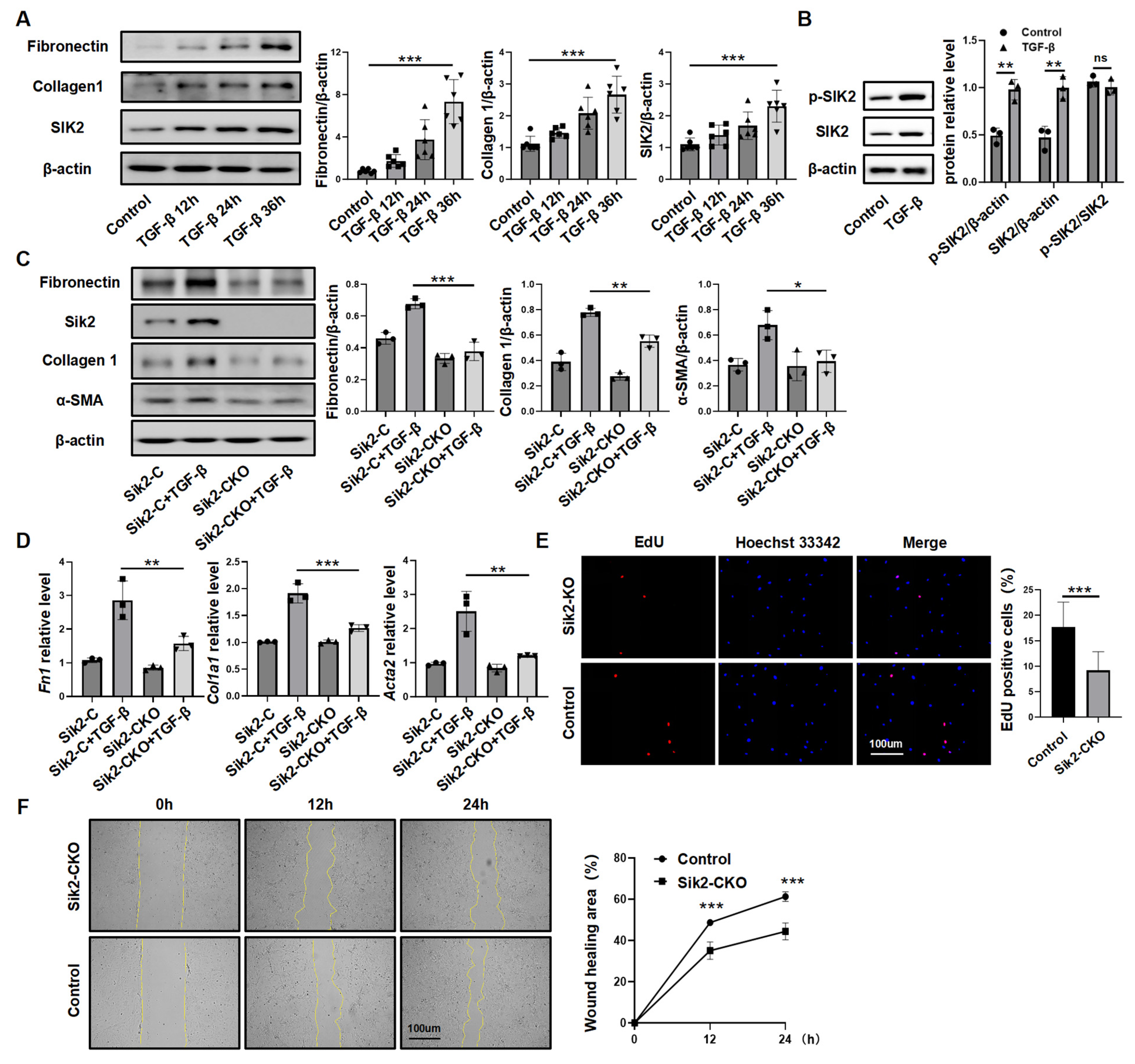 Biomedicines 13 01919 g003 Biomedicines 13 01919 g003