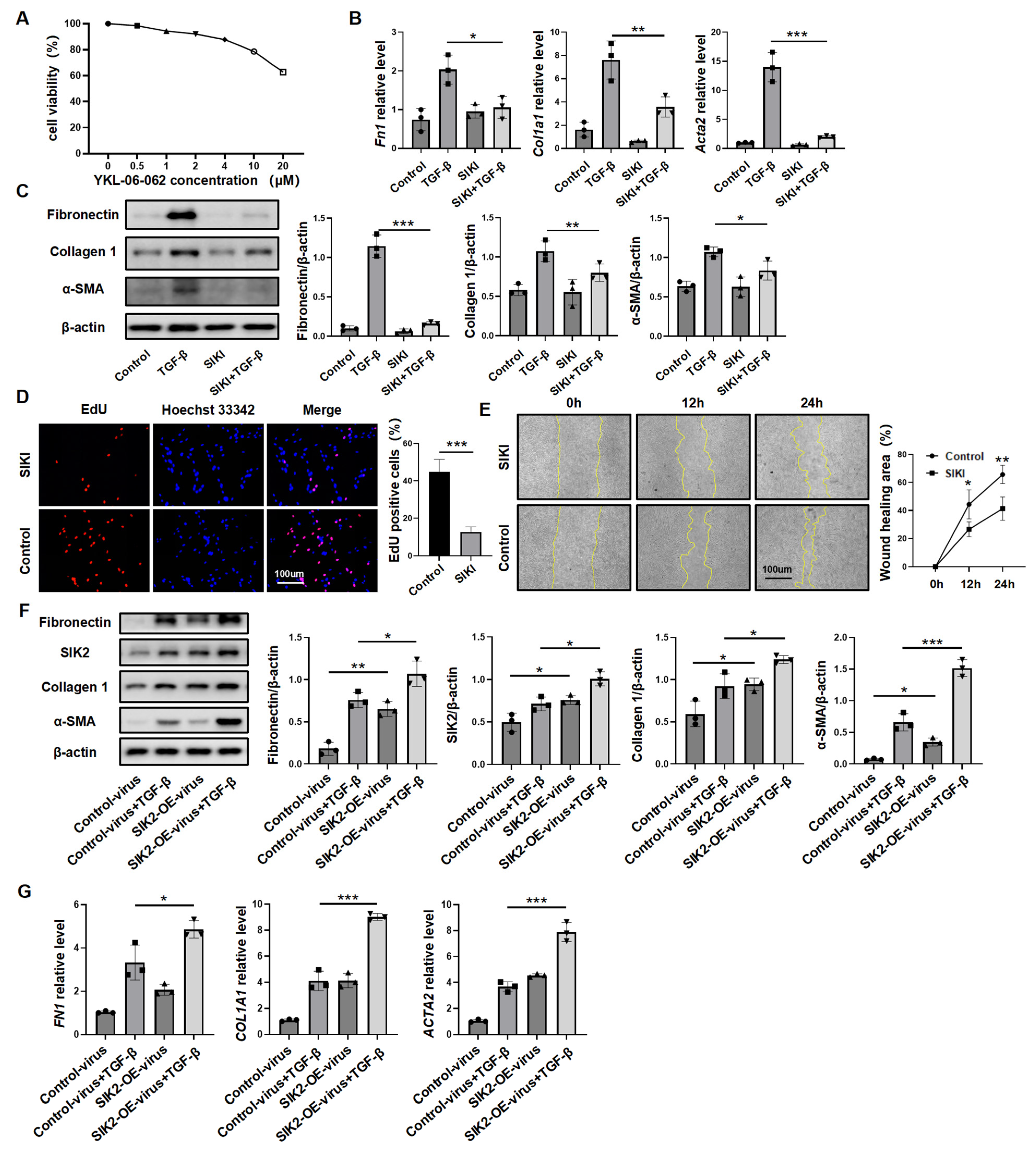Biomedicines 13 01919 g004 Biomedicines 13 01919 g004