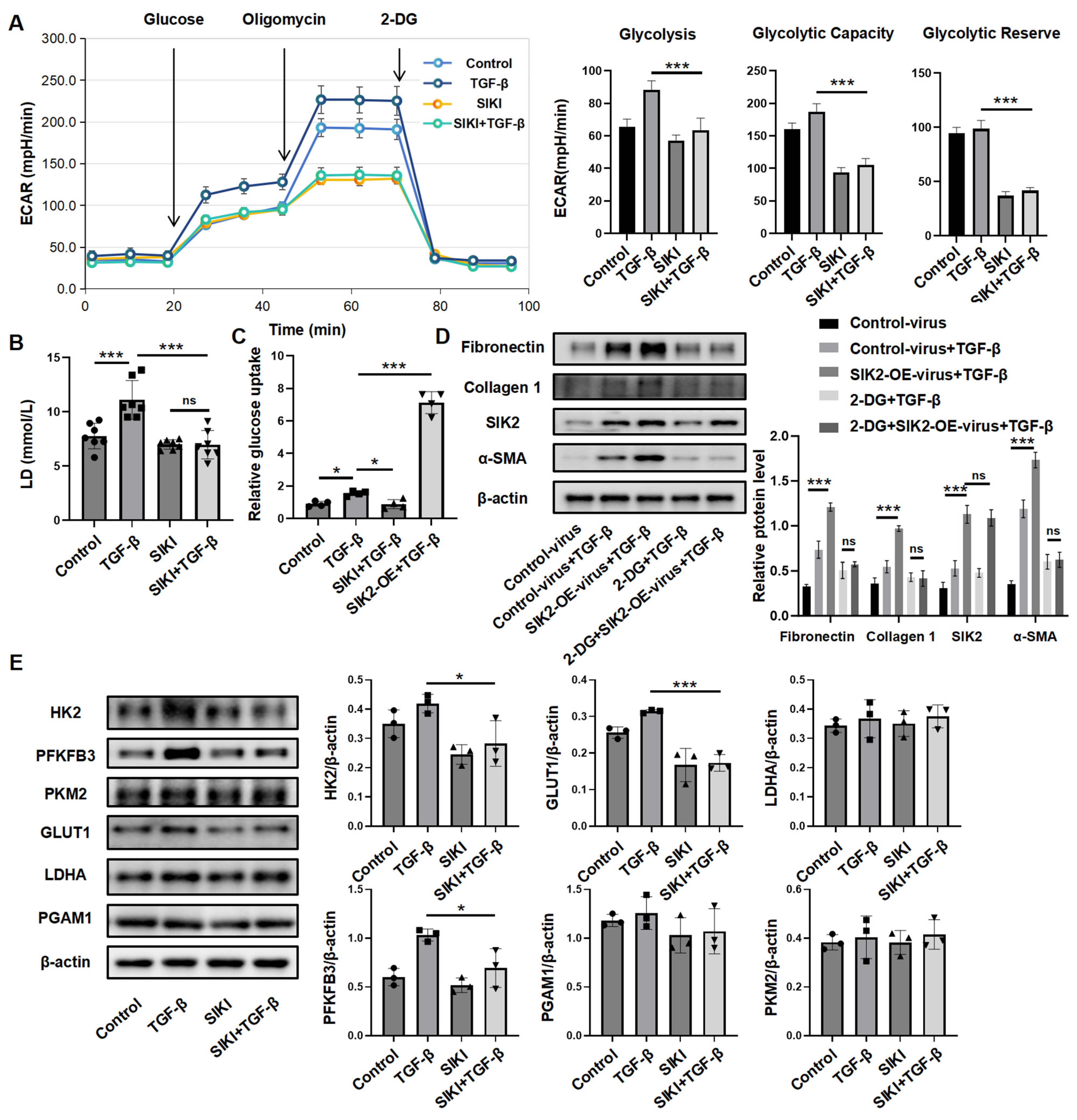 Biomedicines 13 01919 g006 Biomedicines 13 01919 g006