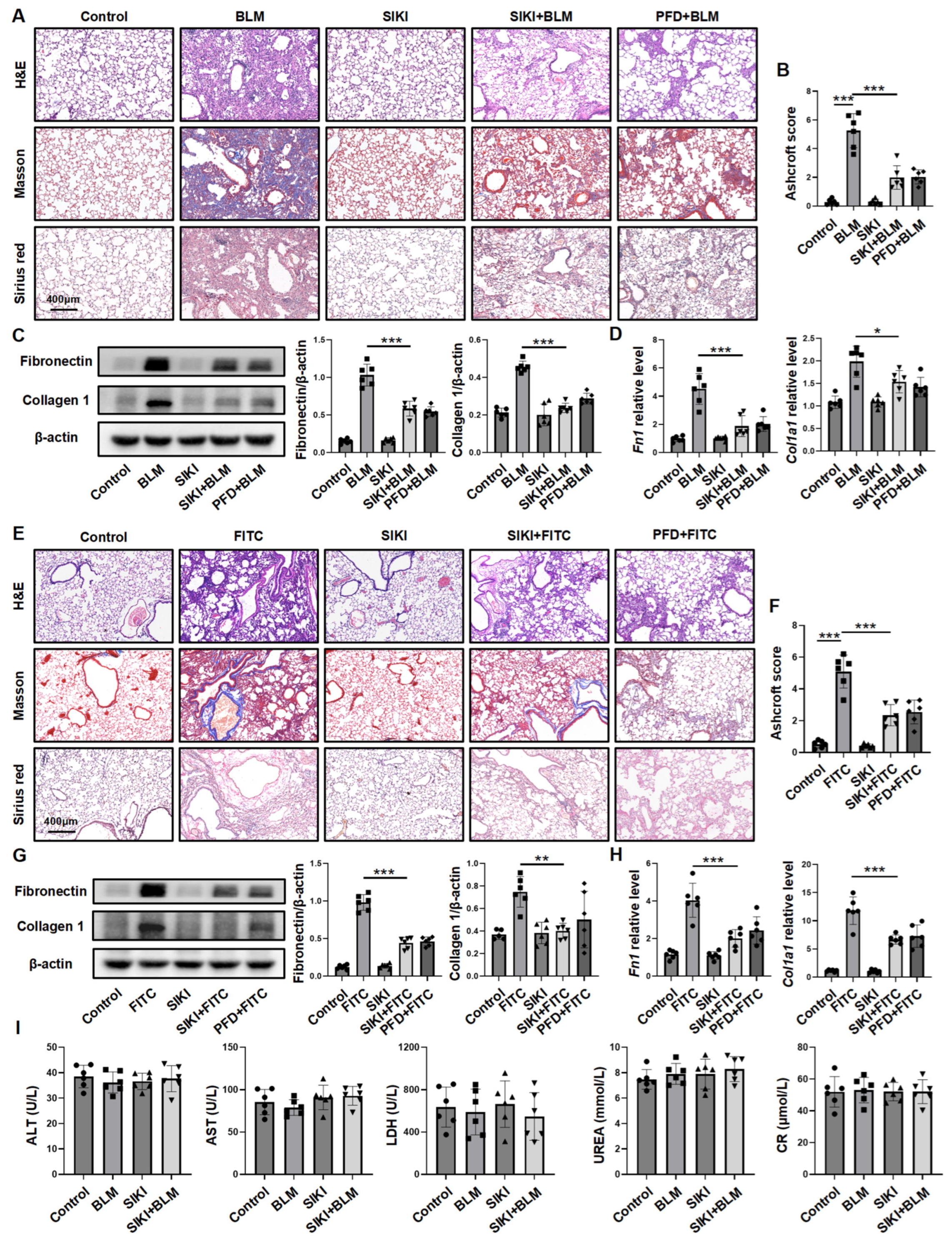 Biomedicines 13 01919 g007 Biomedicines 13 01919 g007