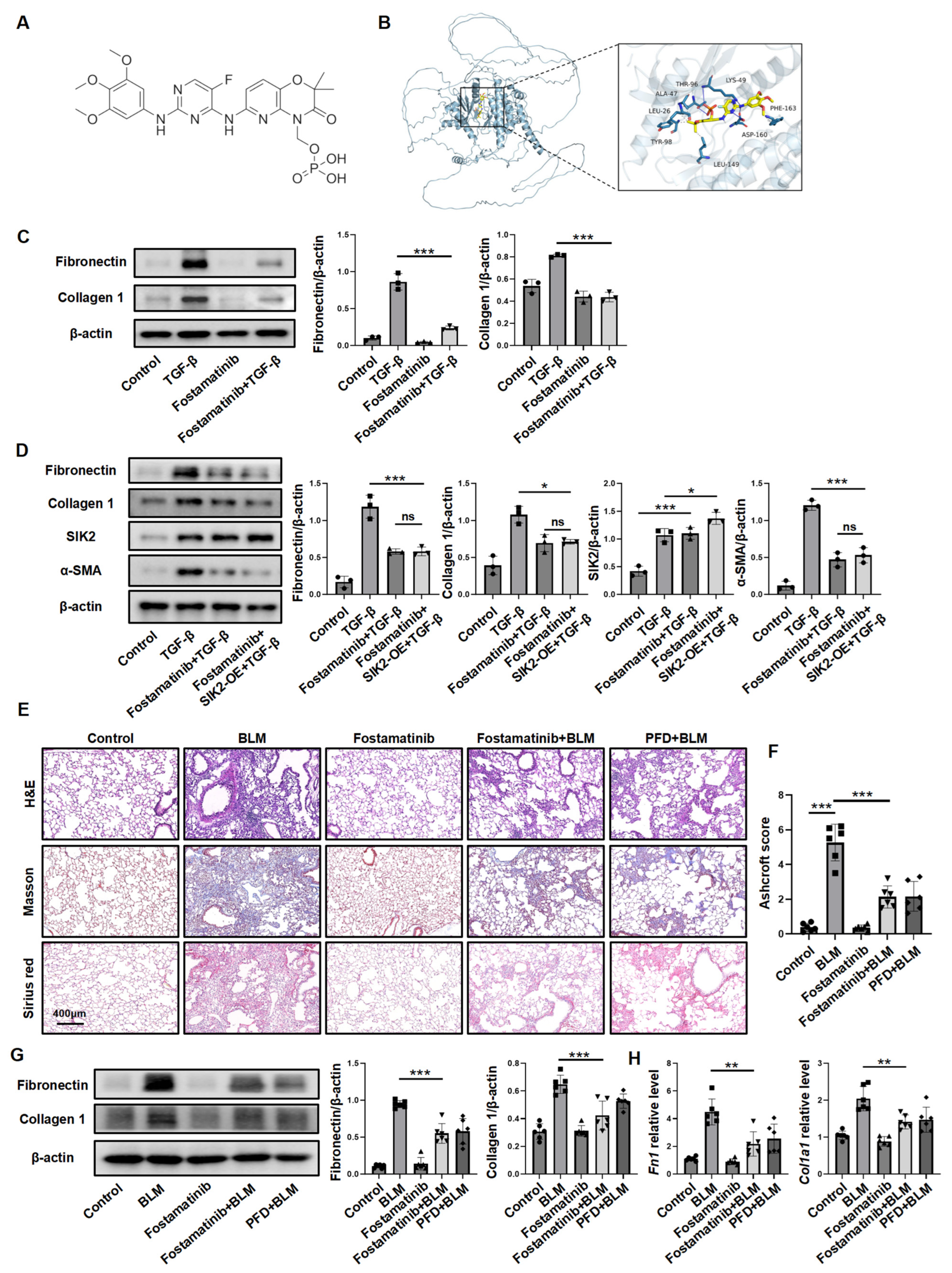 Biomedicines 13 01919 g008 Biomedicines 13 01919 g008