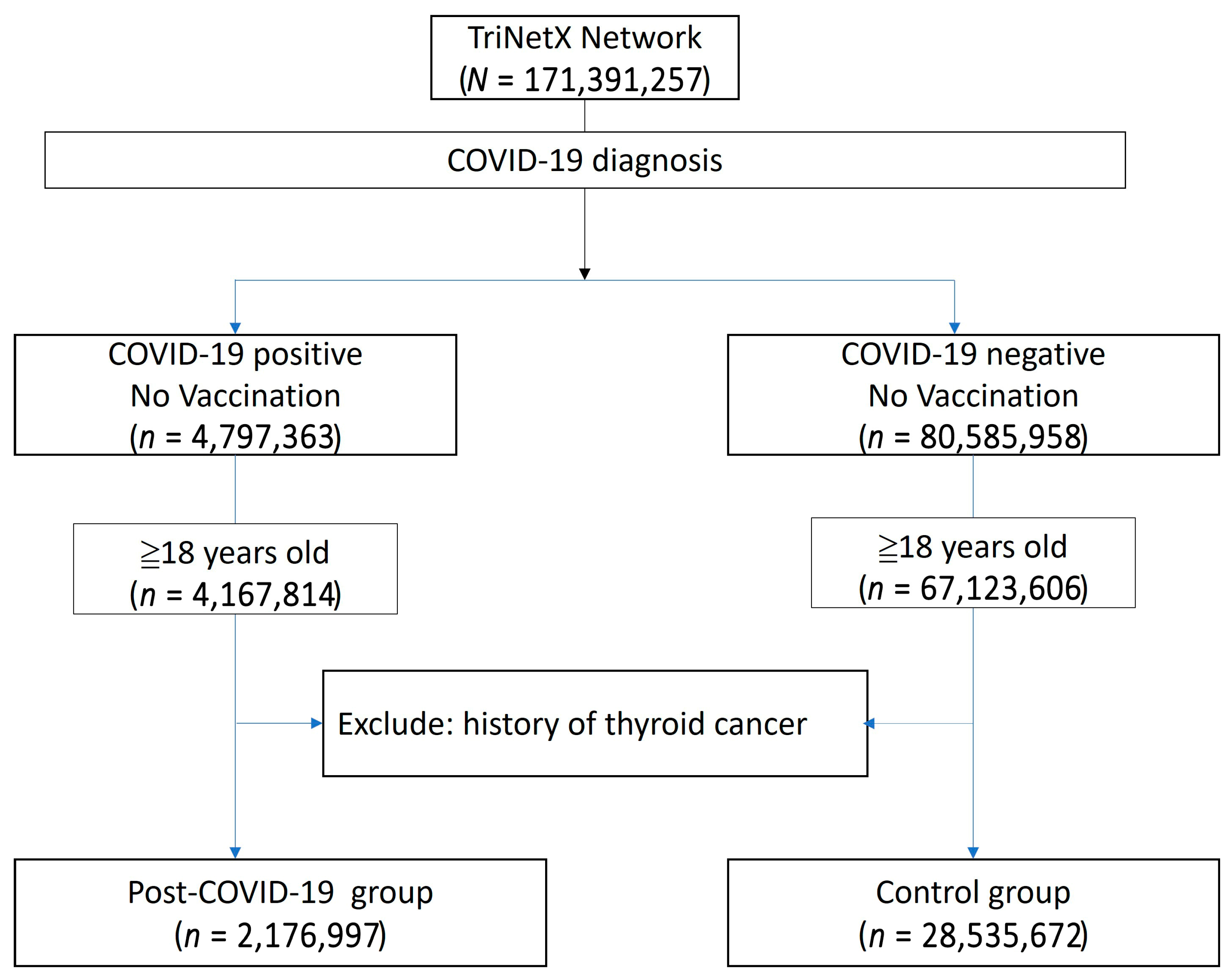 Biomedicines 13 01933 g001 Biomedicines 13 01933 g001