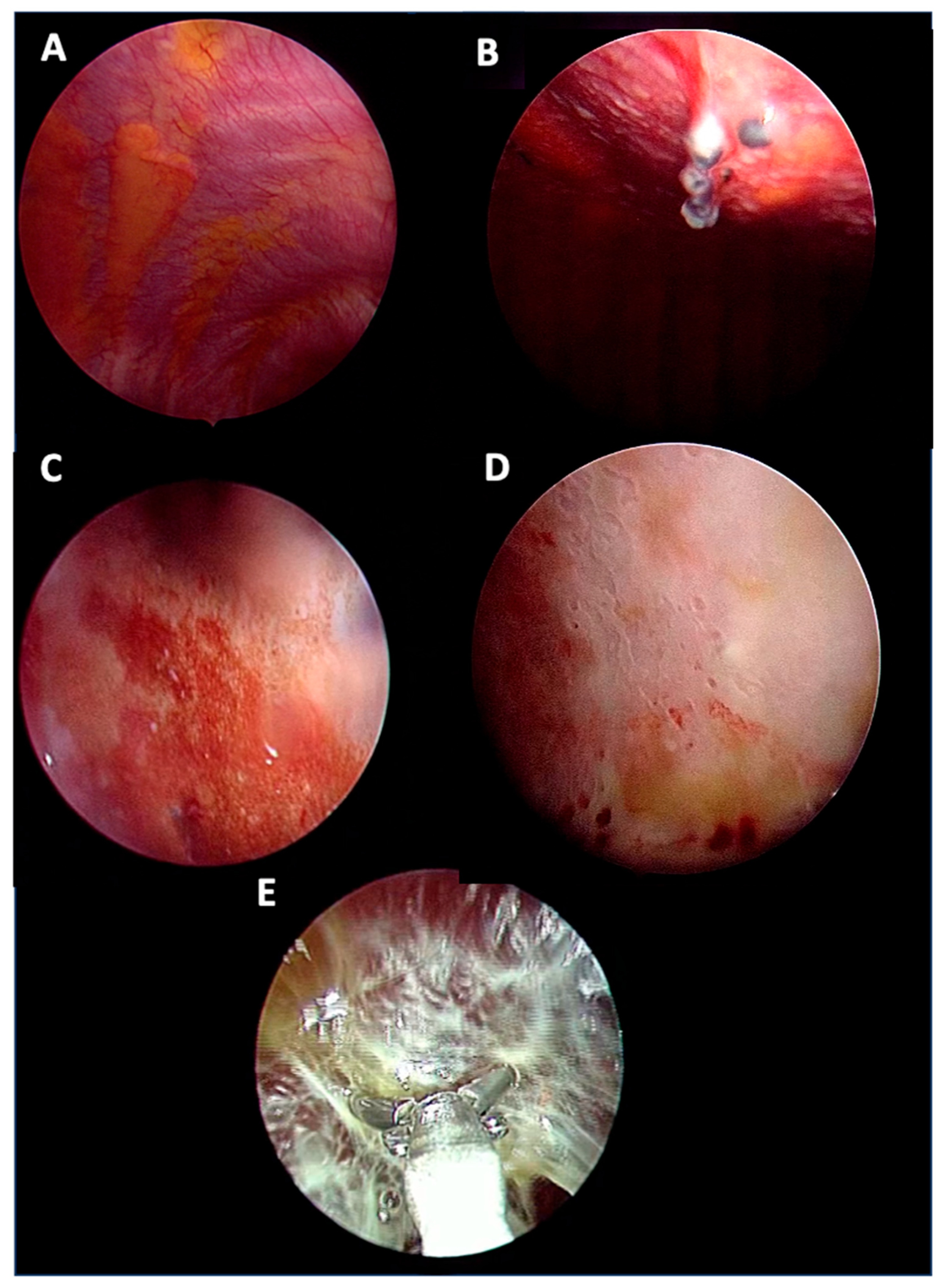 Biomedicines 13 01934 g002 Biomedicines 13 01934 g002