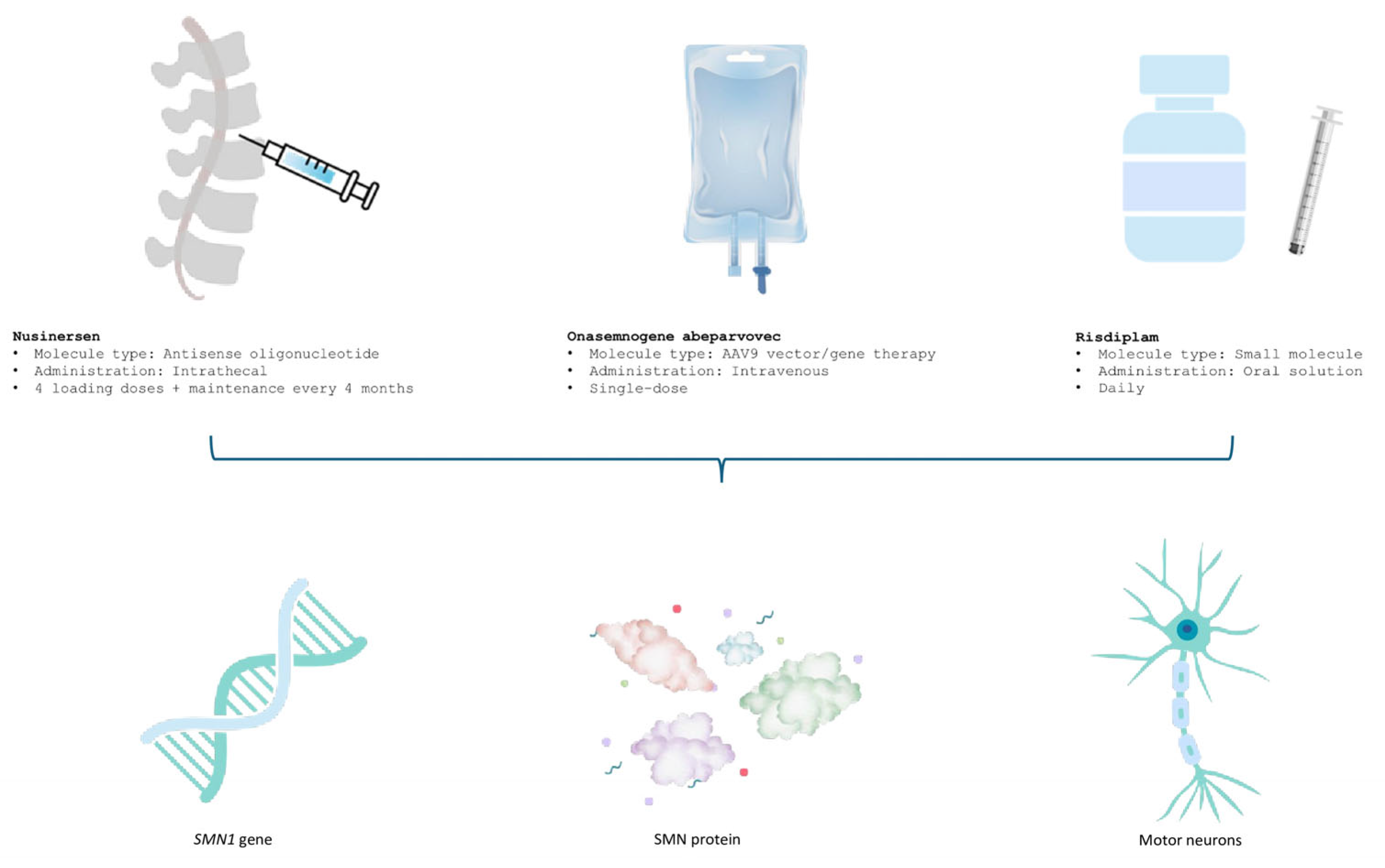 Biomedicines 13 01939 g001