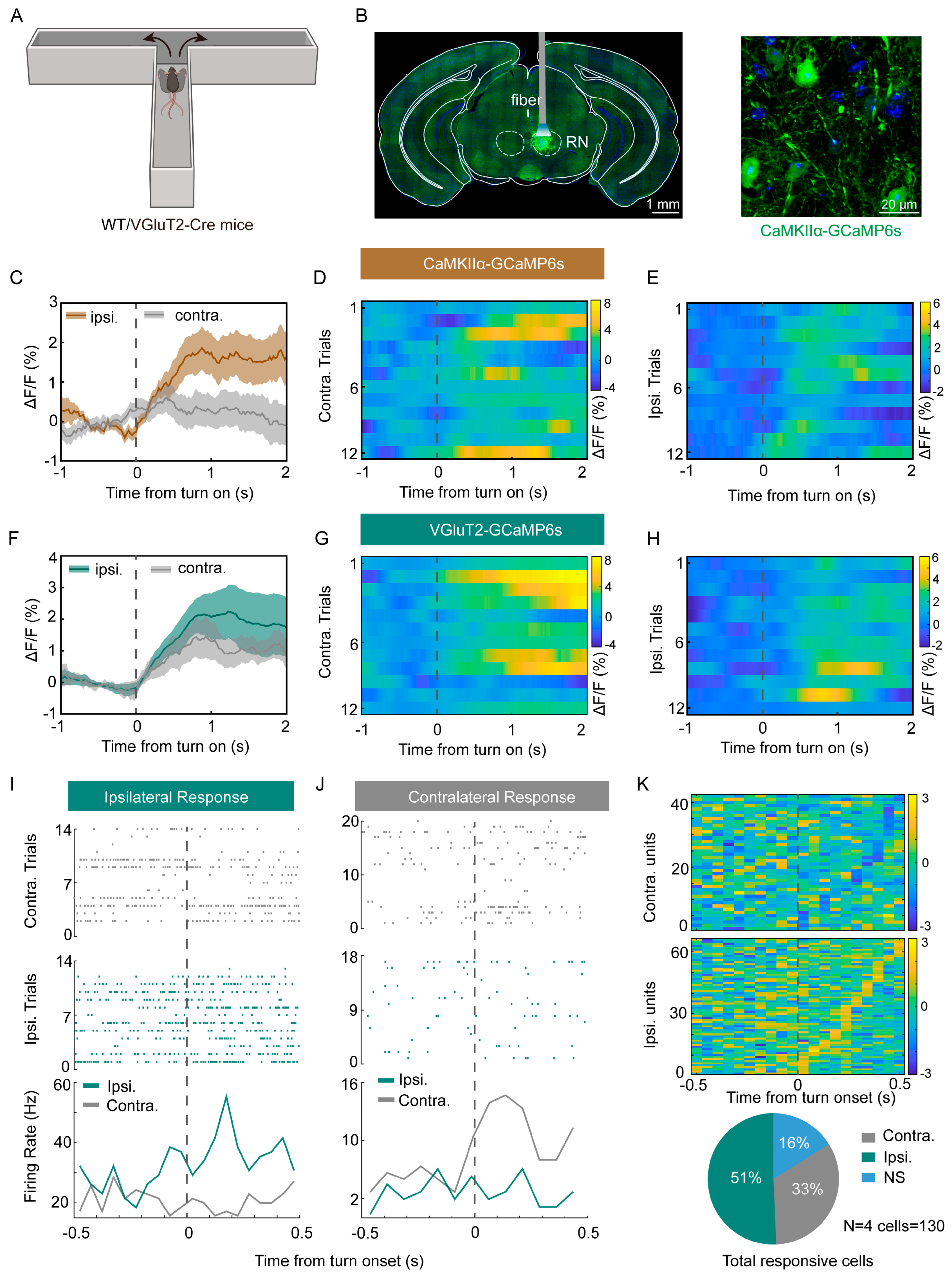 Biomedicines 13 01943 g001 Biomedicines 13 01943 g001