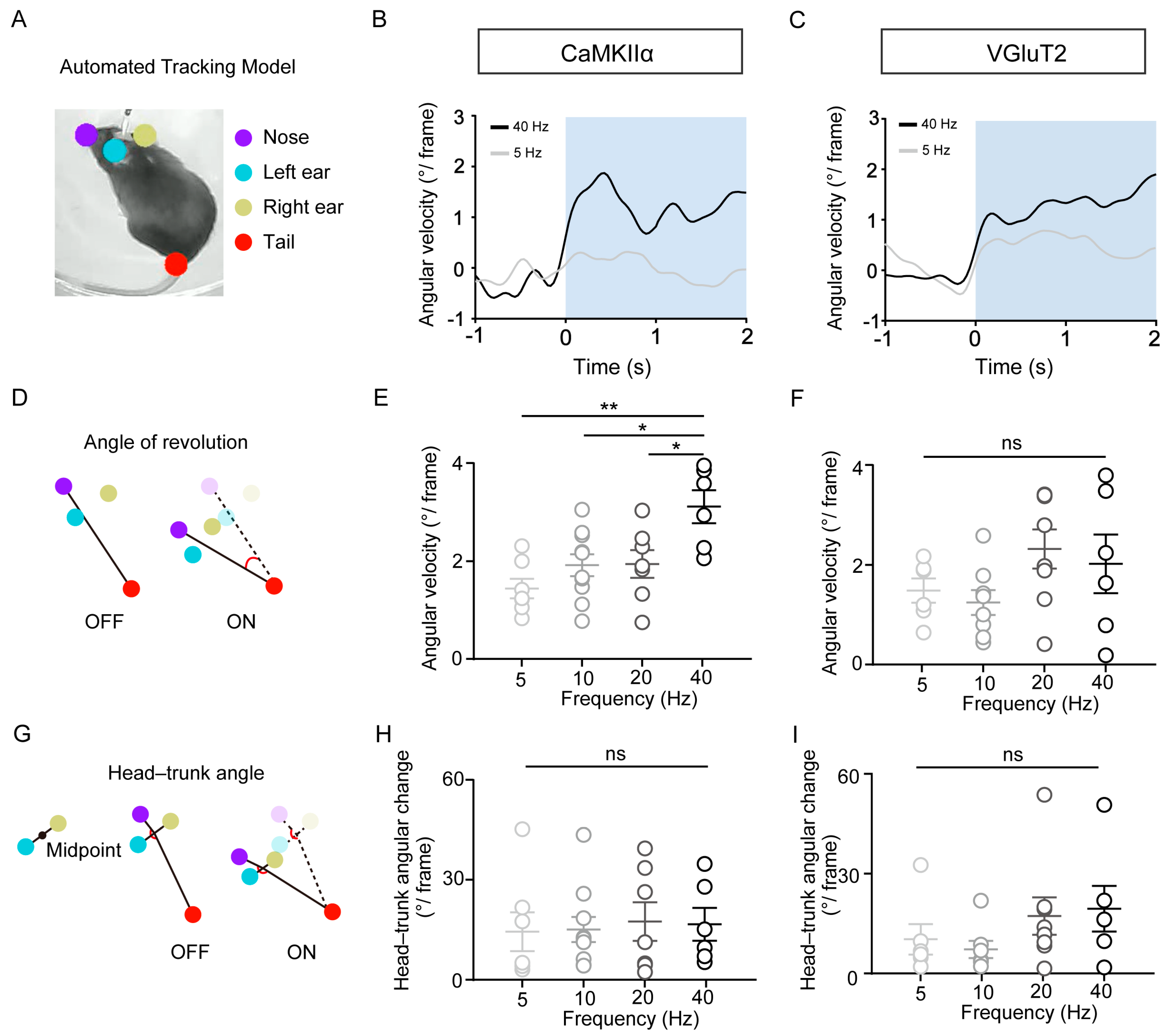 Biomedicines 13 01943 g003 Biomedicines 13 01943 g003