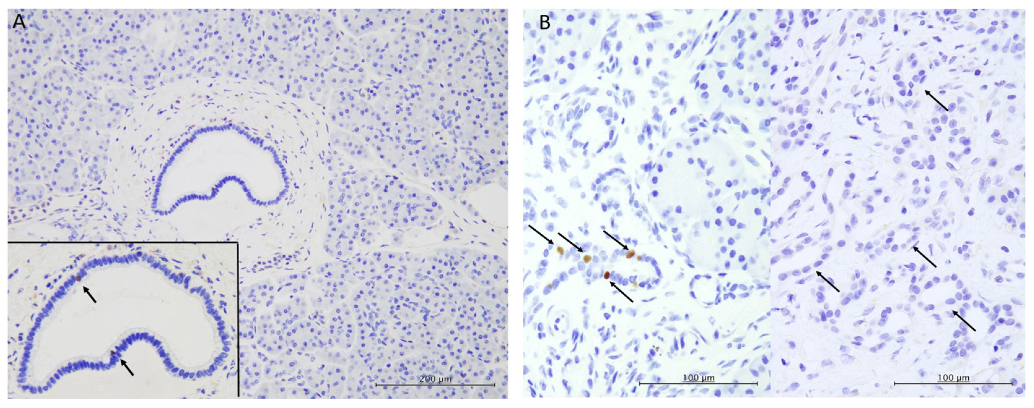 Biomedicines 13 01944 g002a