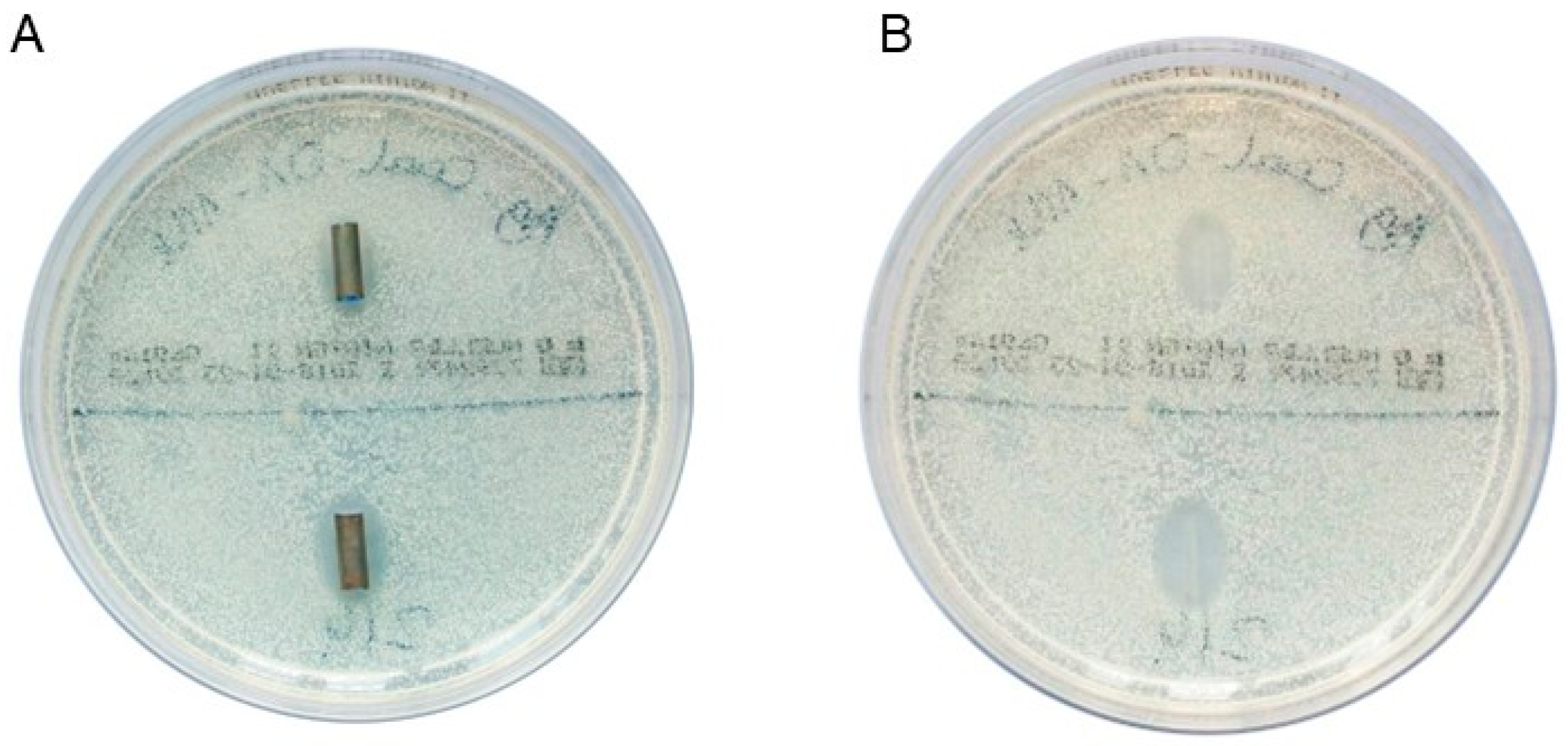 Biomedicines 13 01950 g001
