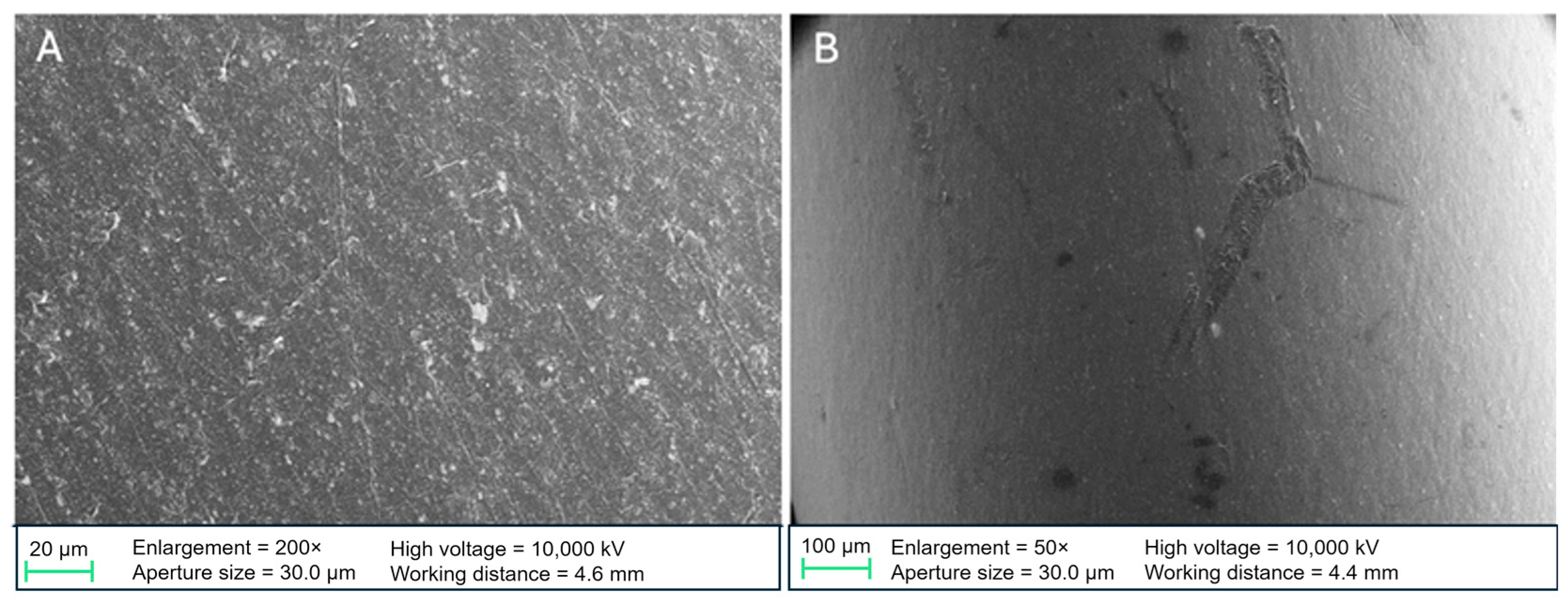 Biomedicines 13 01950 g005