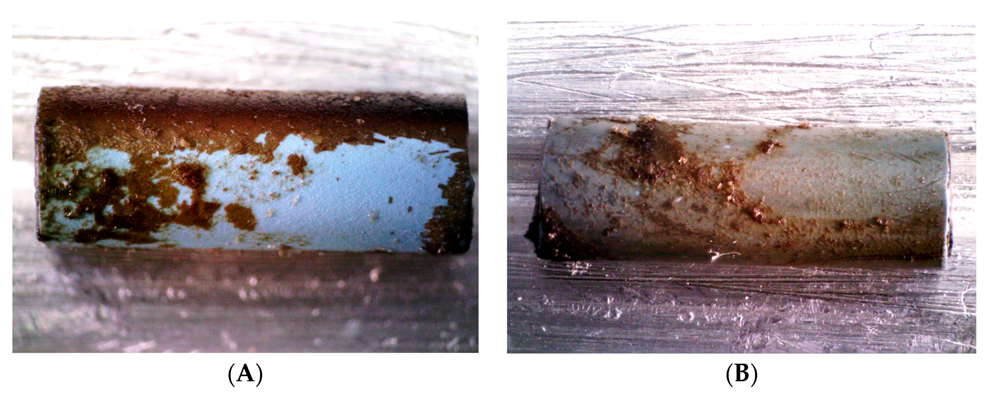 Biomedicines 13 01950 g007