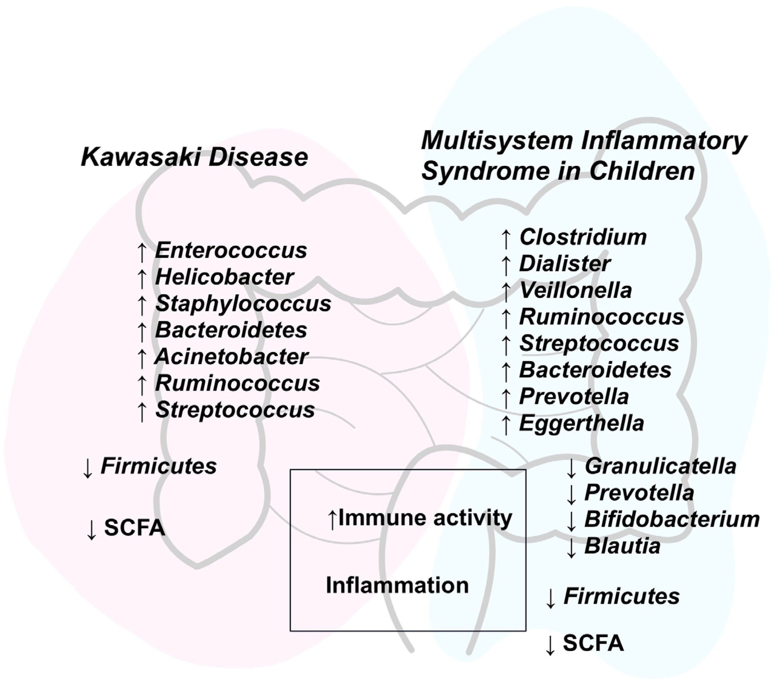 Biomedicines 13 01953 g001 Biomedicines 13 01953 g001