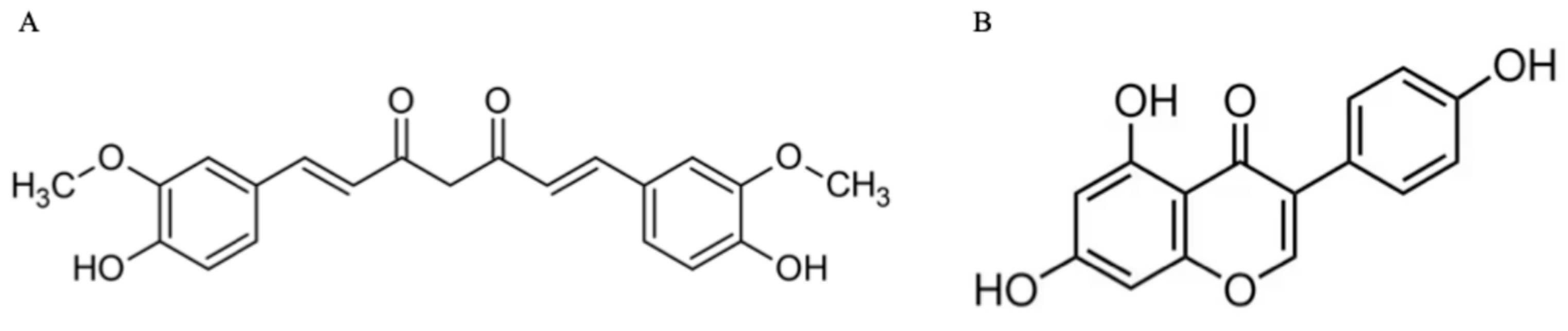 Biomedicines 13 01954 g001