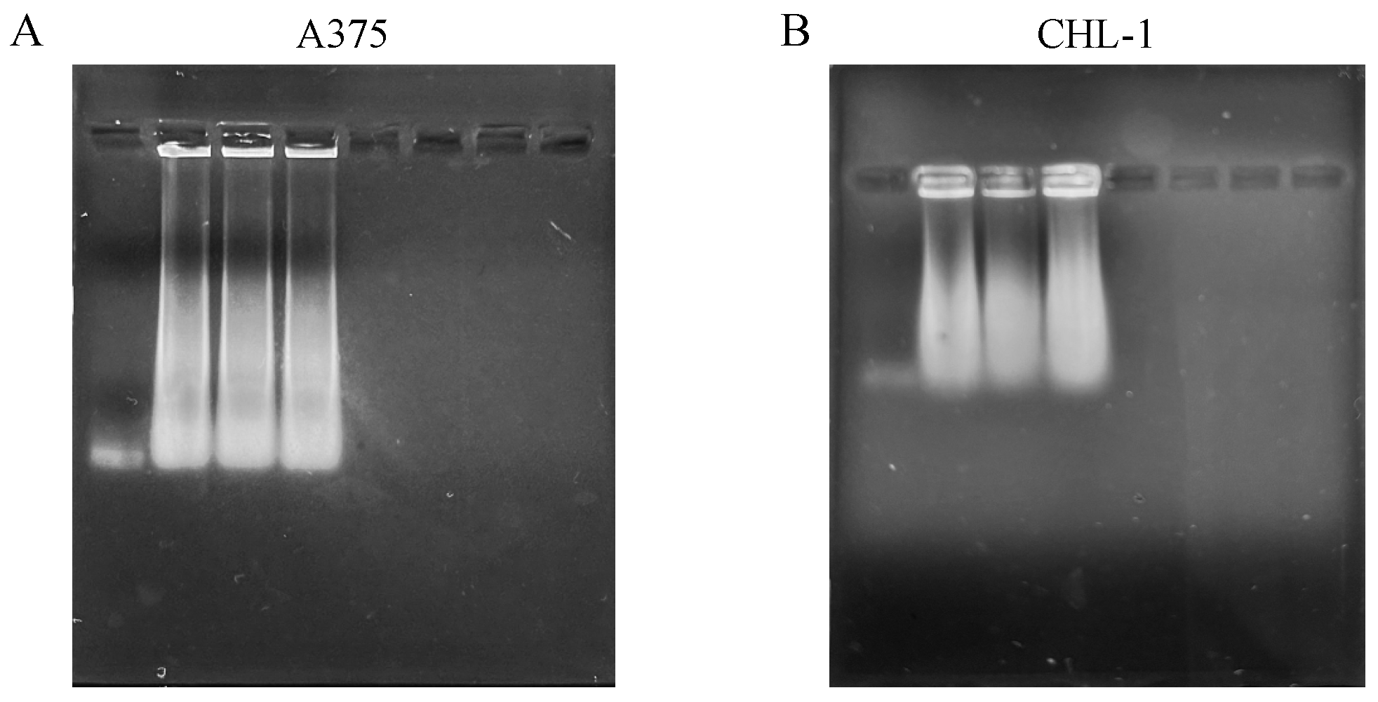 Biomedicines 13 01954 g005