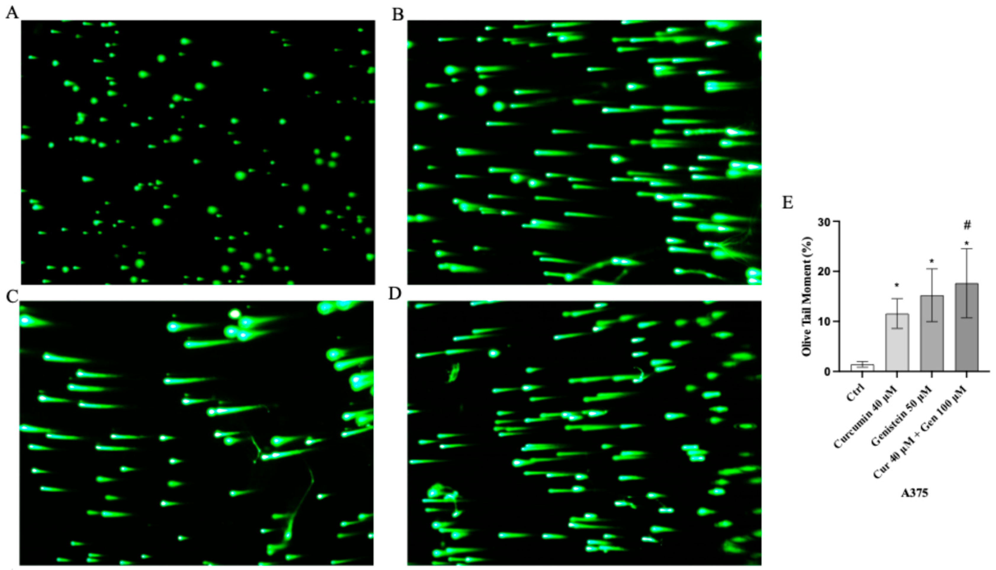 Biomedicines 13 01954 g007