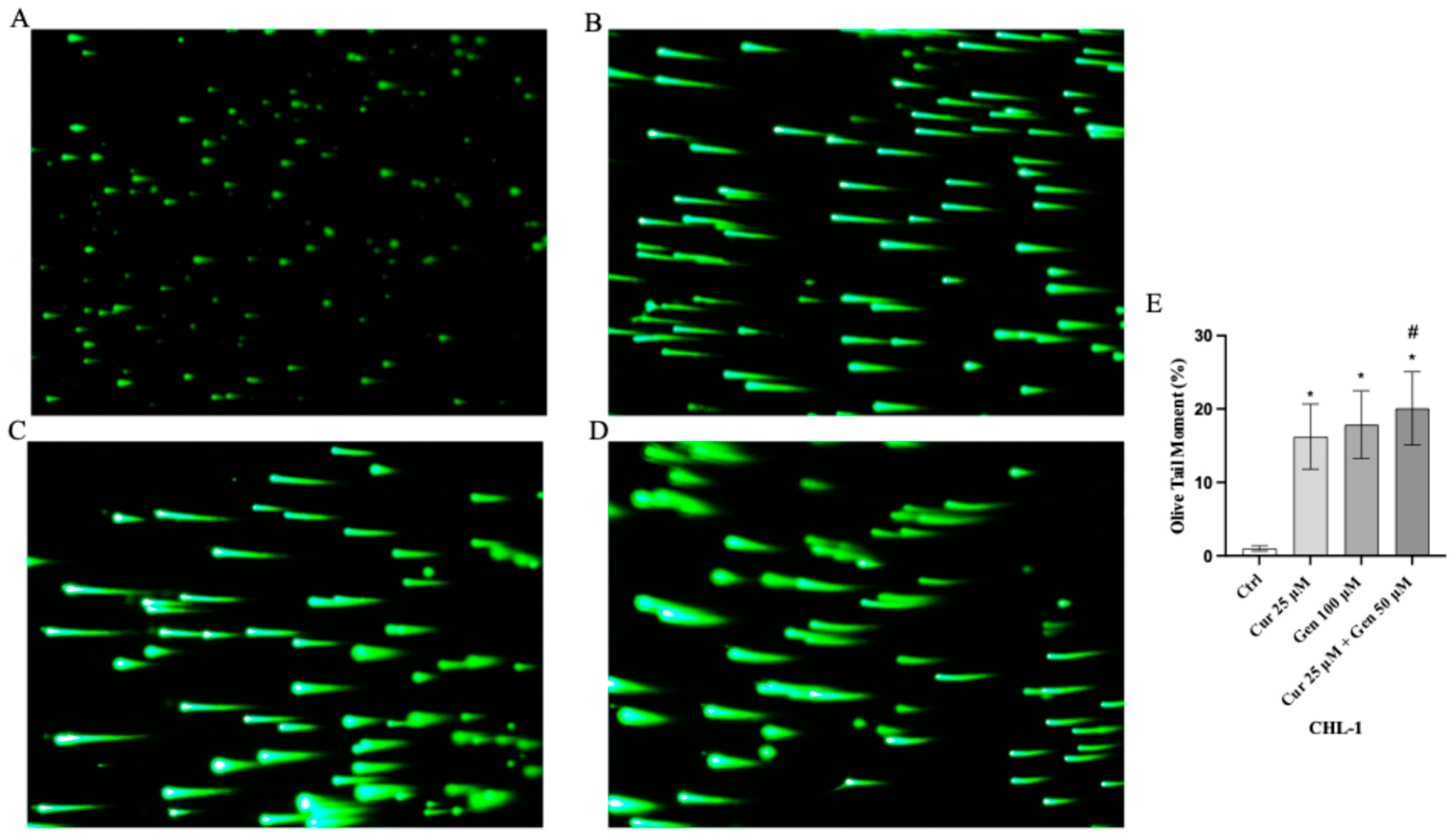 Biomedicines 13 01954 g008