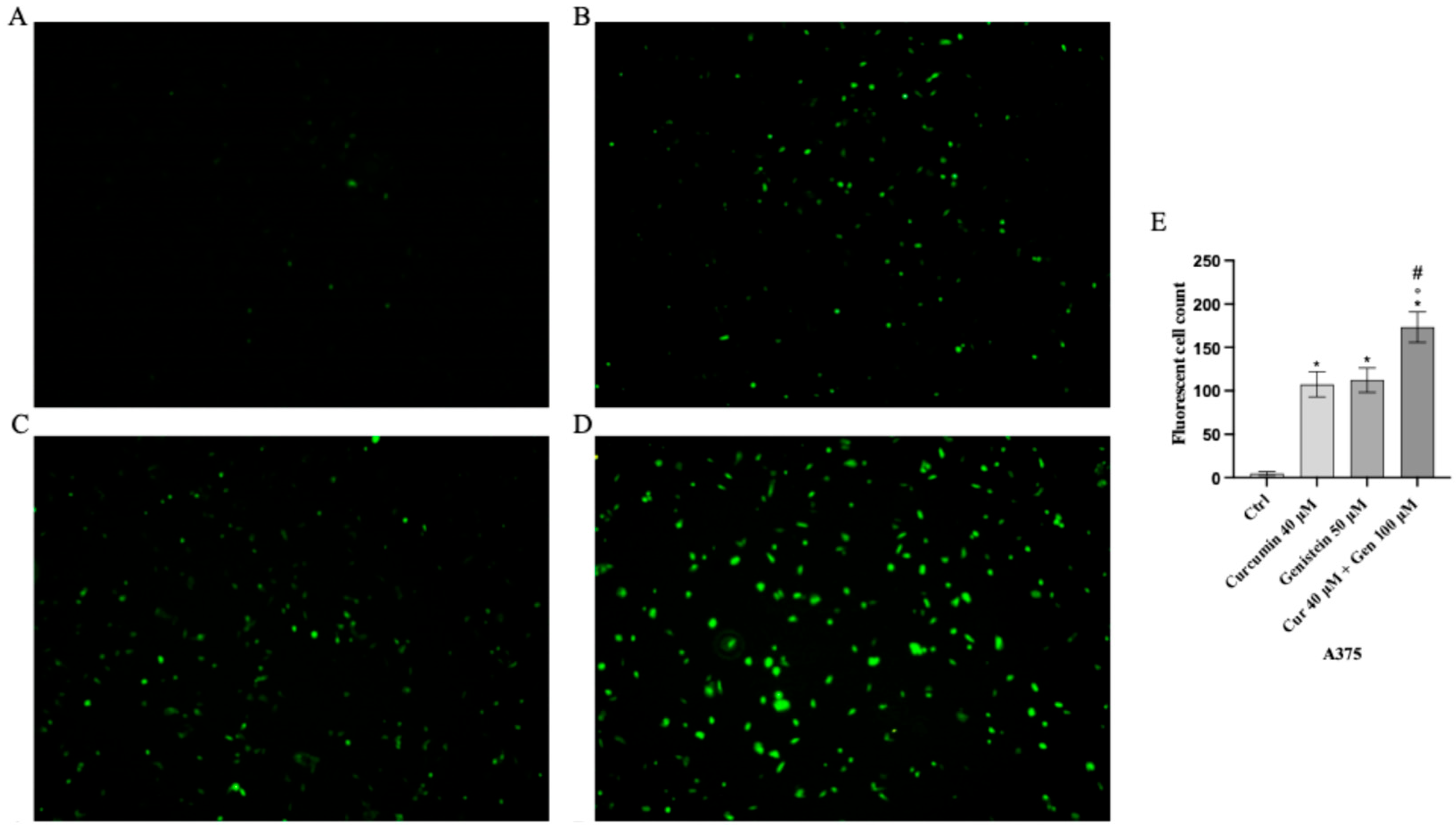 Biomedicines 13 01954 g009