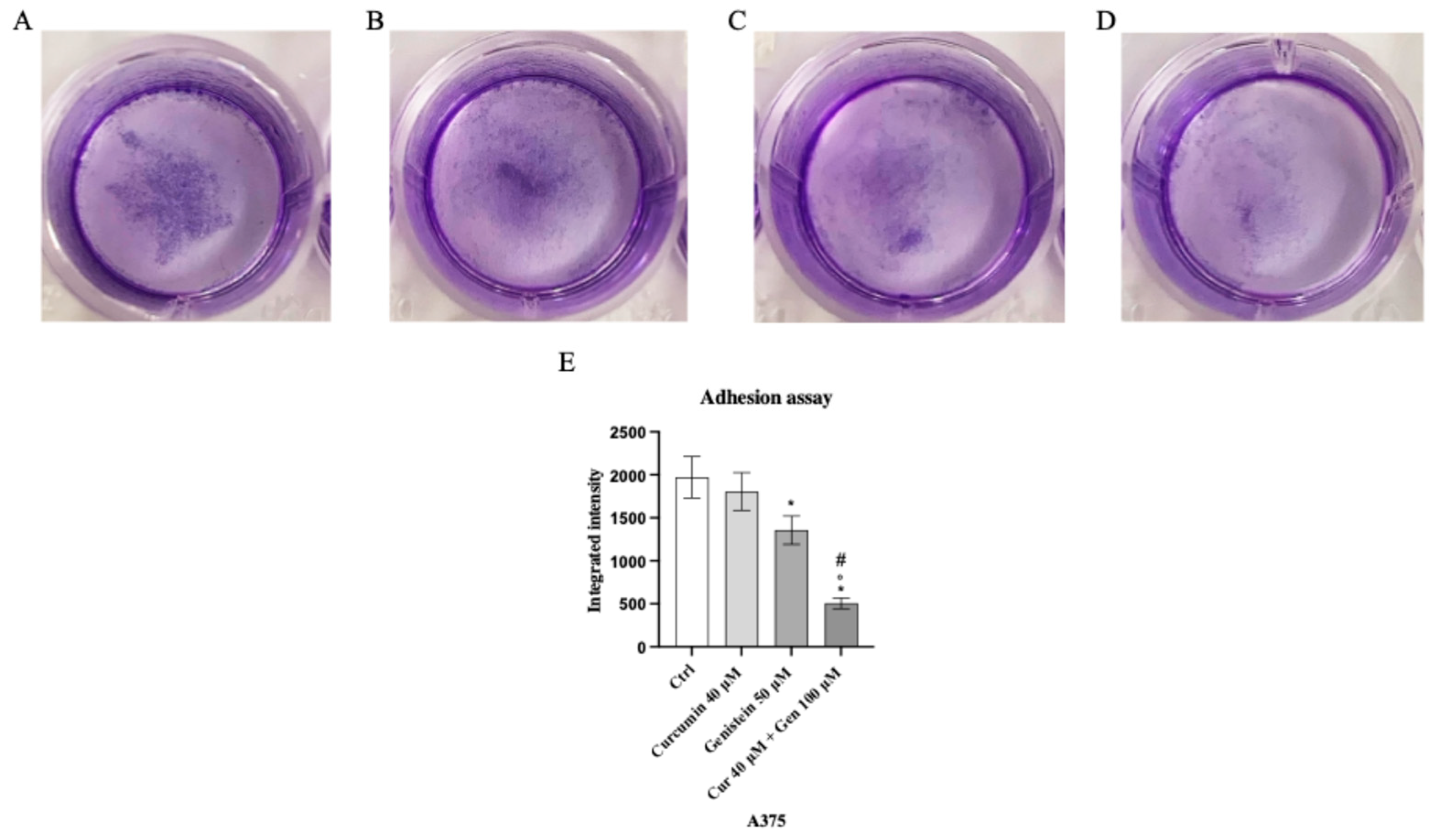 Biomedicines 13 01954 g011
