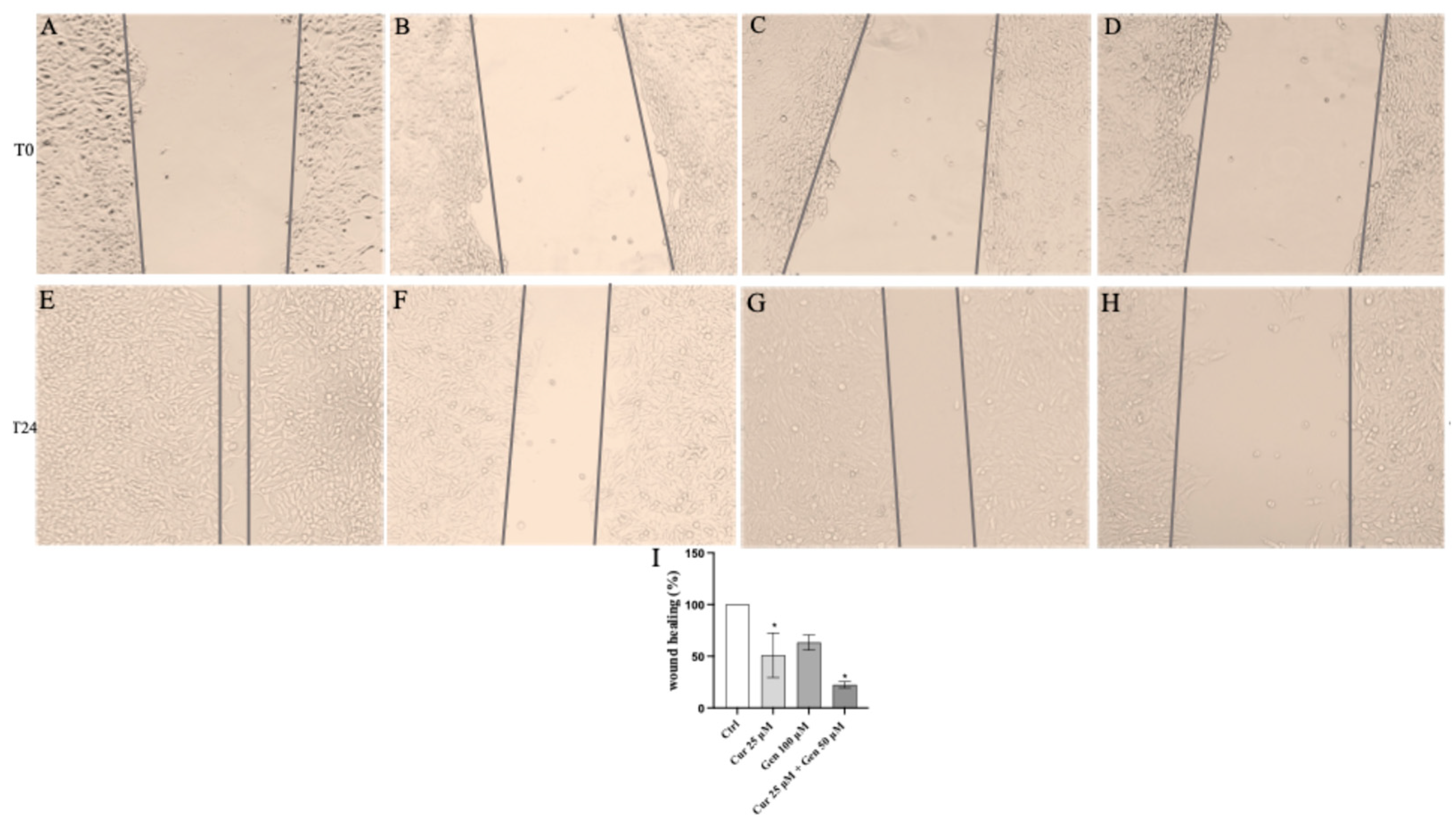 Biomedicines 13 01954 g014