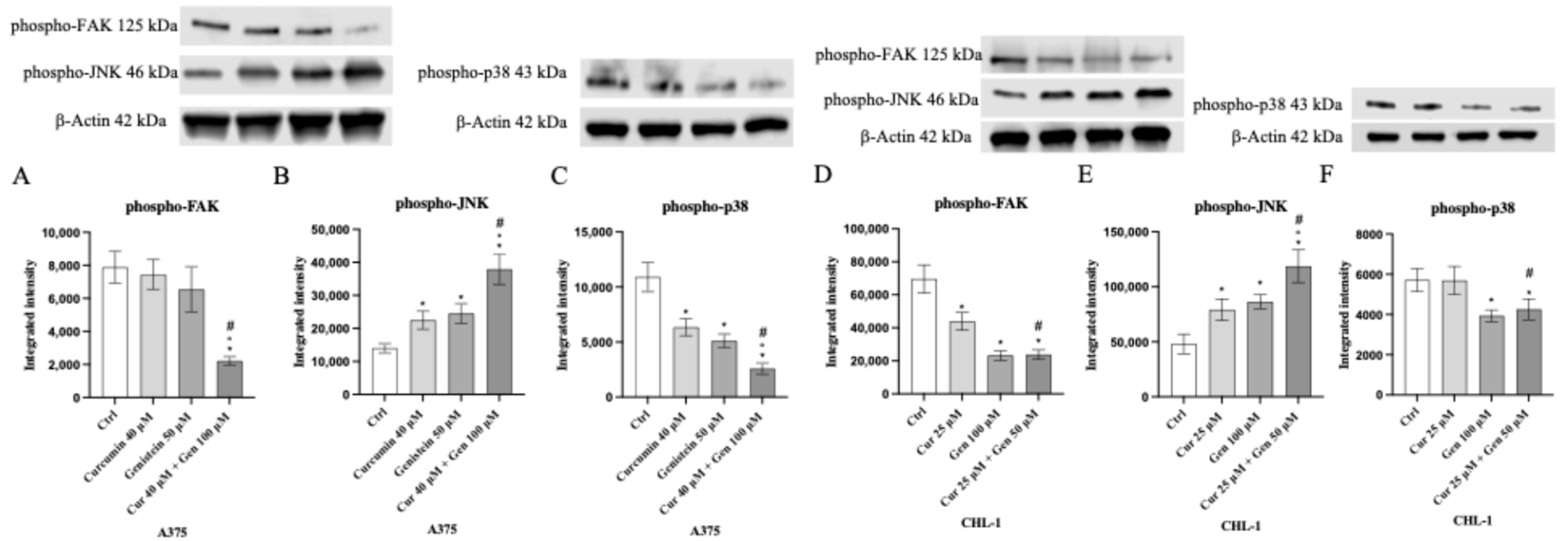 Biomedicines 13 01954 g017