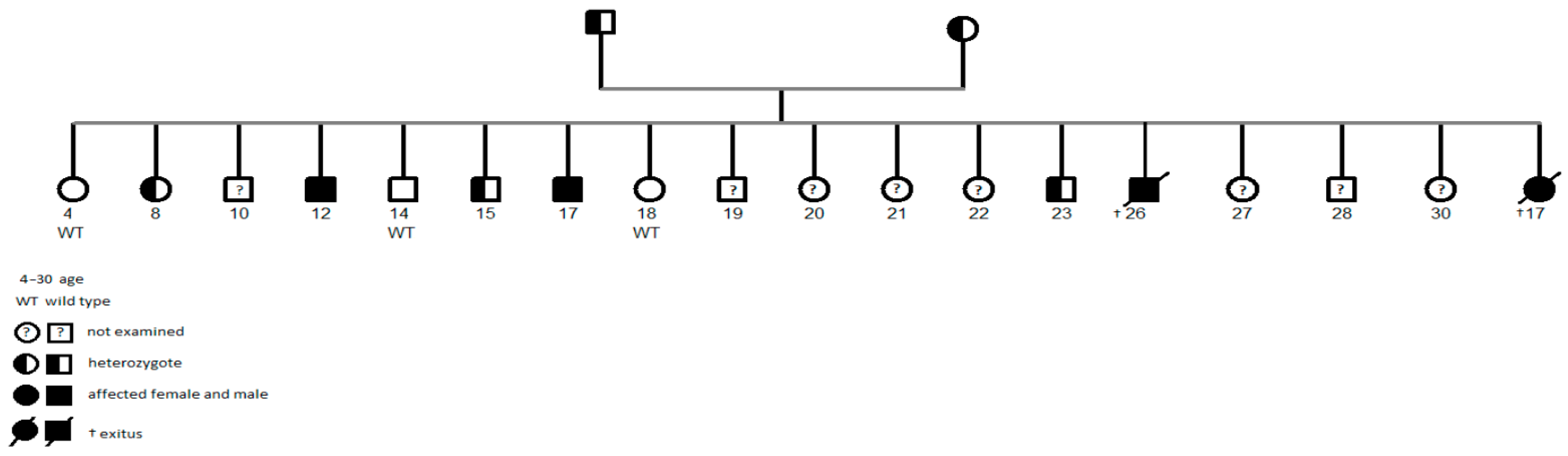 Biomedicines 13 01960 g002 Biomedicines 13 01960 g002